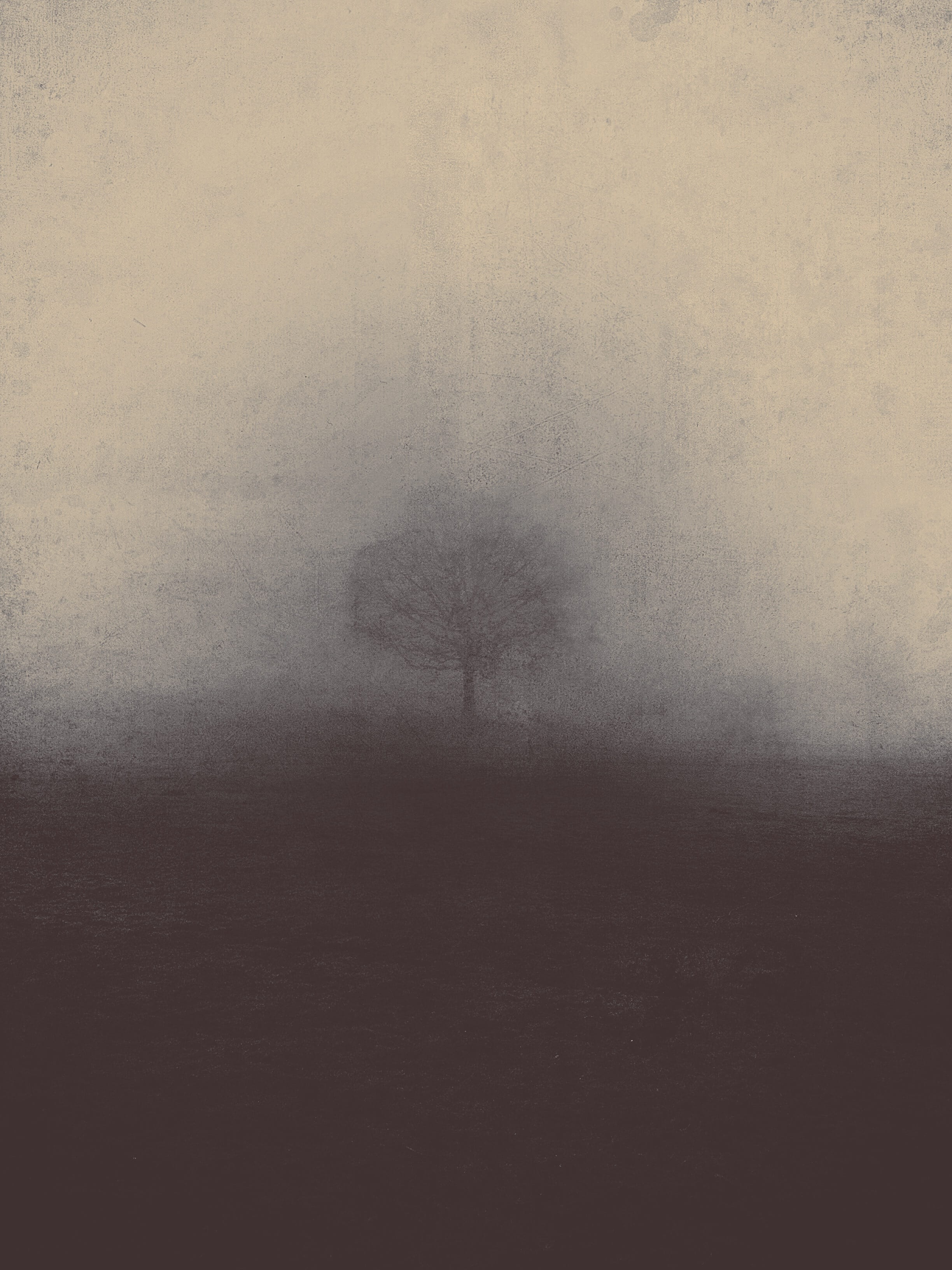 tranquil scene, morning, non-urban scene, nature, sky, day, land, backgrounds, tranquility, nature haze, mystic, 2K, wall - building feature, scary, beauty in nature, Phone HD Wallpaper