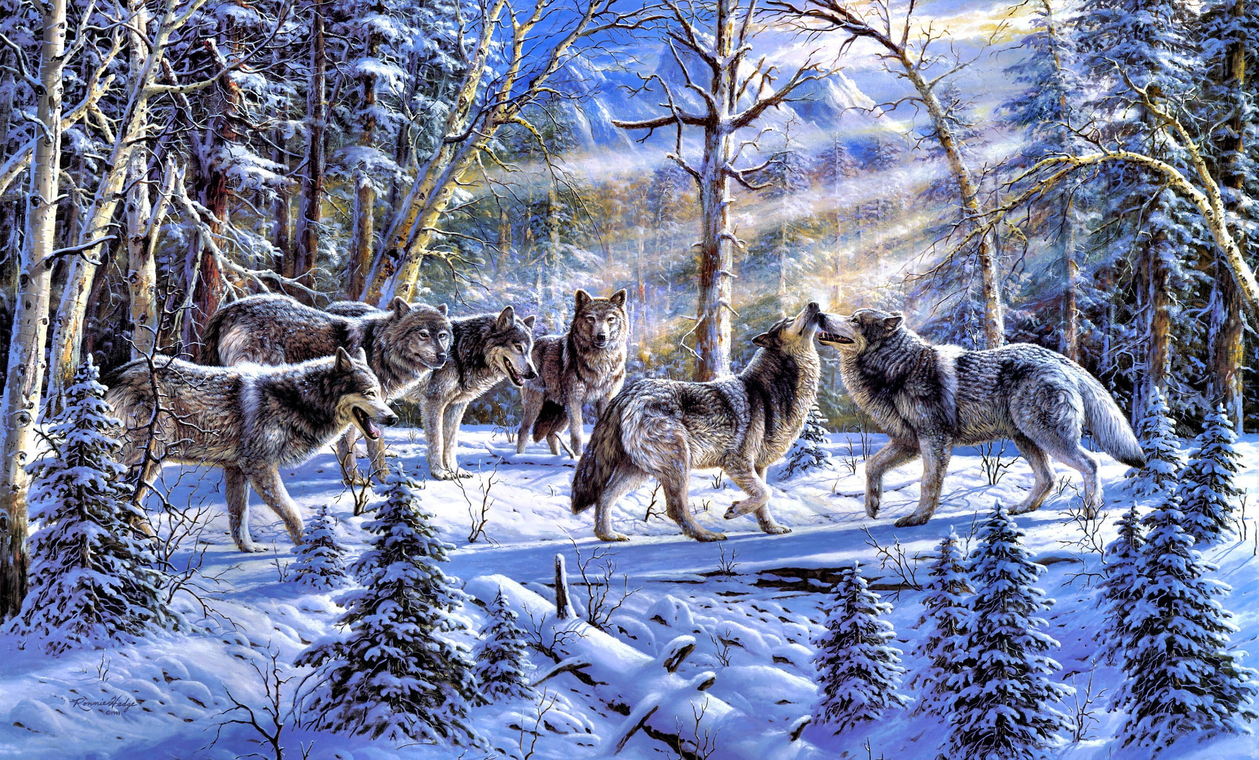 wildlife, snow, animals In The Wild, vertebrate, herbivorous, spruce, cold temperature, nature, forest, wolves, woodland, carnivore, field, animals, beauty in nature, HD Wallpaper