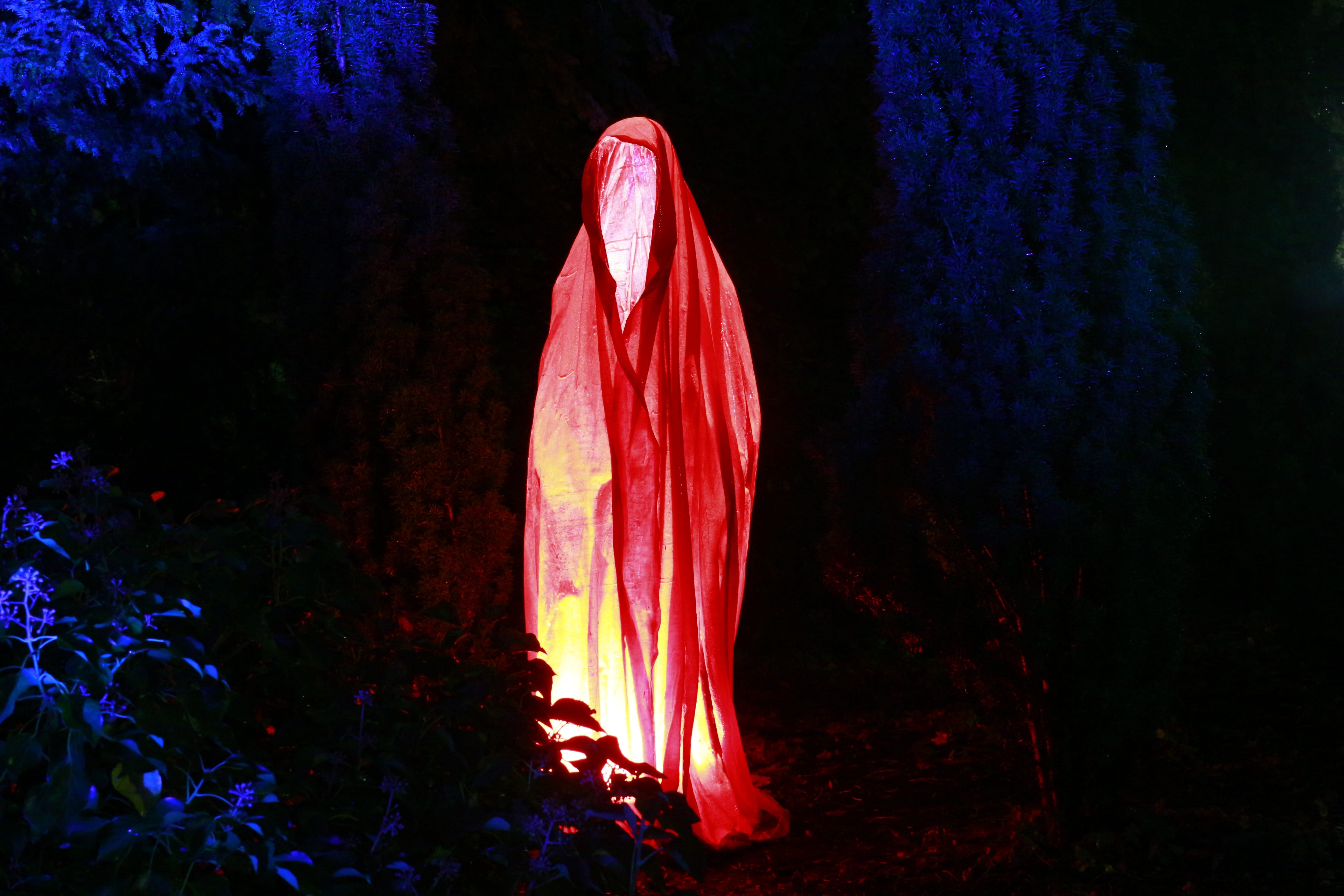 red, wearing, blue, light effect, westphalia park, leaves, spooky, tree, beauty in nature, 5K, cloth, figure, plant, night, nature, no people, ghost, middle, HD Wallpaper