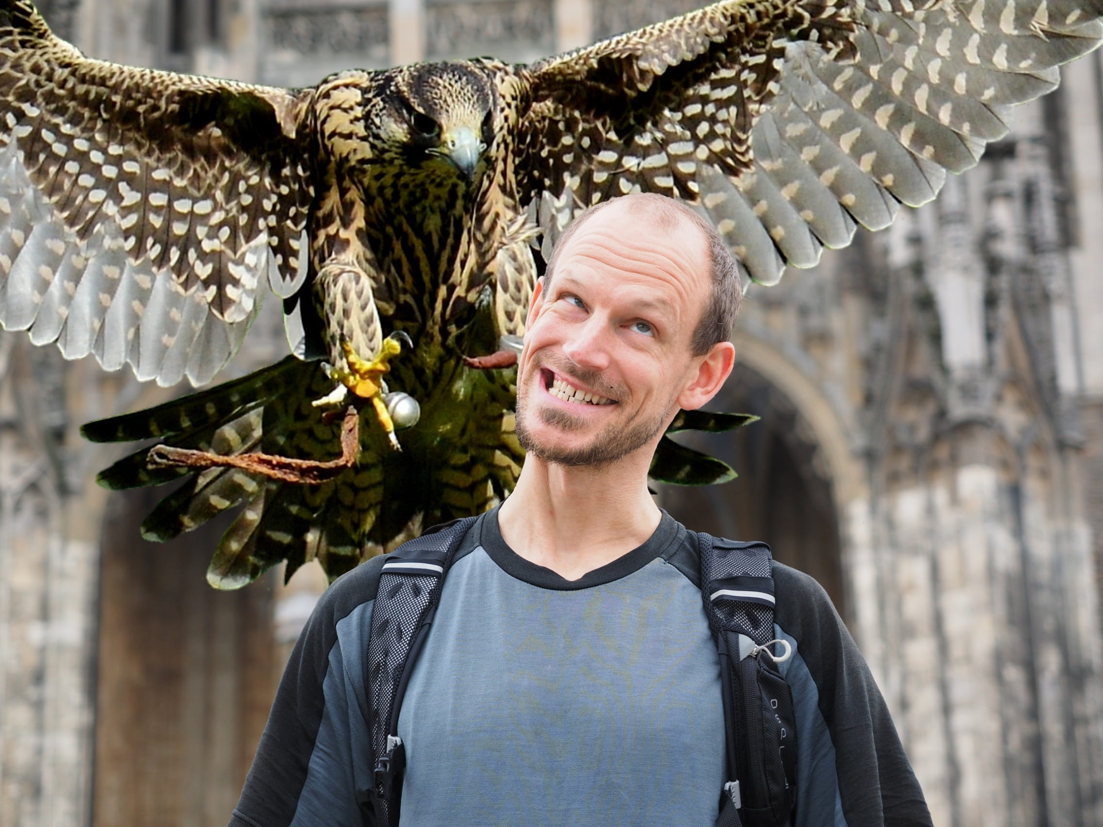 waist up, prey, falcon, outdoors, smiling, focus on foreground, men, human, lifestyles, front view, one person, day, mischief, males, making a face, attack, HD Wallpaper