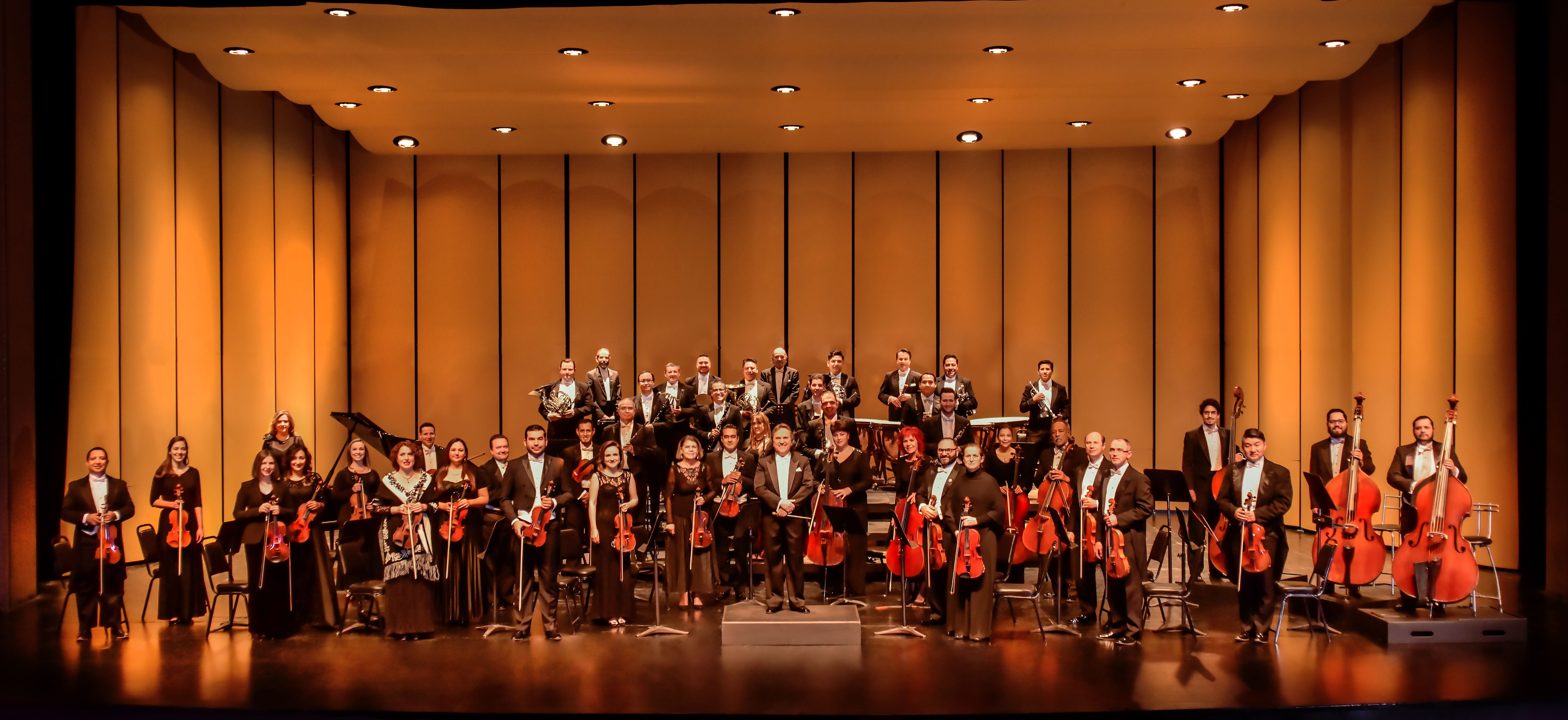 concert, stage, music, crowd, performing arts event, human limb, performance, mid adult, string instrument, orchestra, musician, auditorium, musical instrument, HD Wallpaper