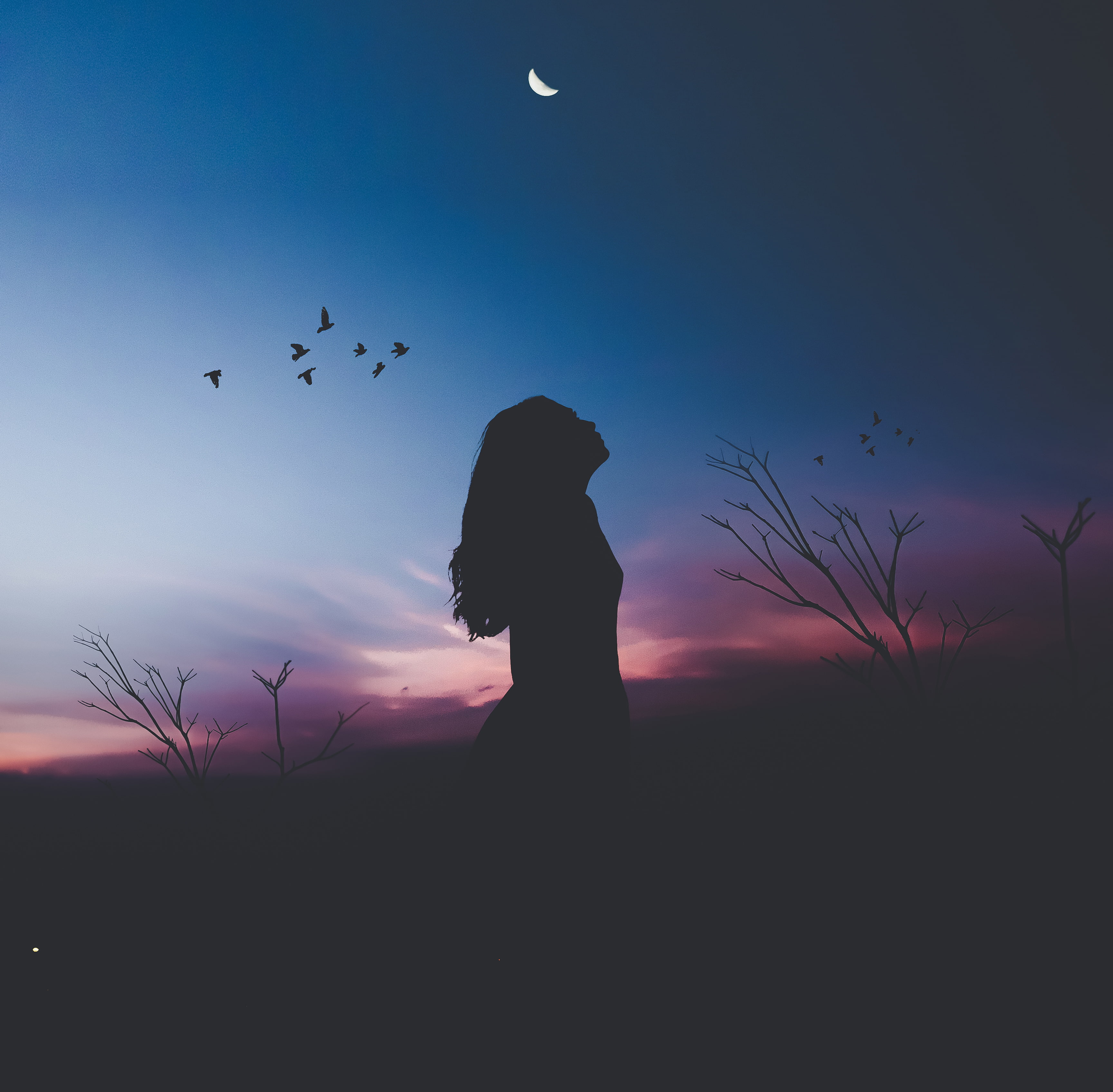 Silhouette, photo, Birds, 2K, HD, Alone, Woman, HD Wallpaper