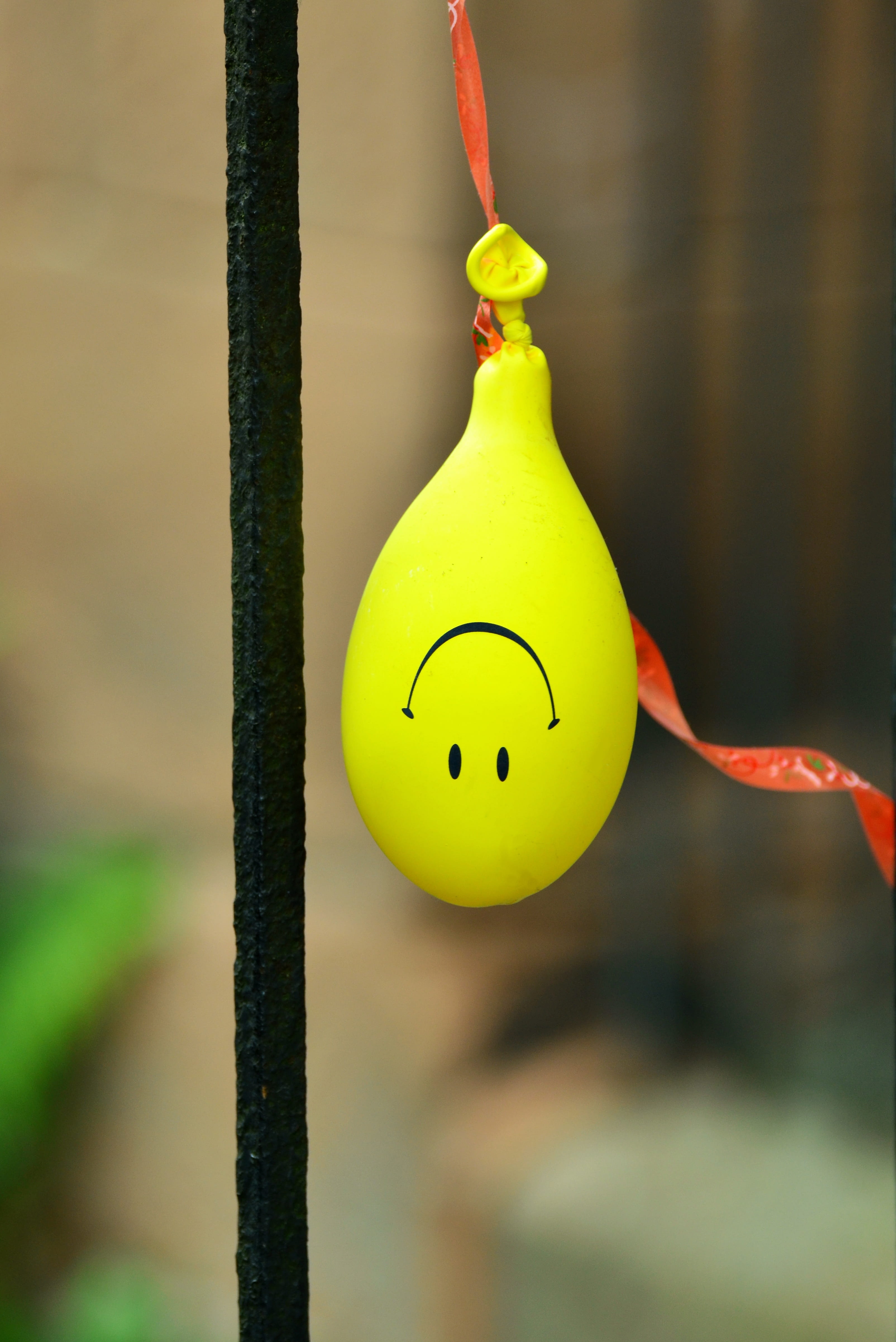 steel, balloon, representation, animal wildlife, party, birthday, bird, rod, art and craft, beside, funny, hanging, black steel, childrens birthday, yellow balloon, Phone HD Wallpaper
