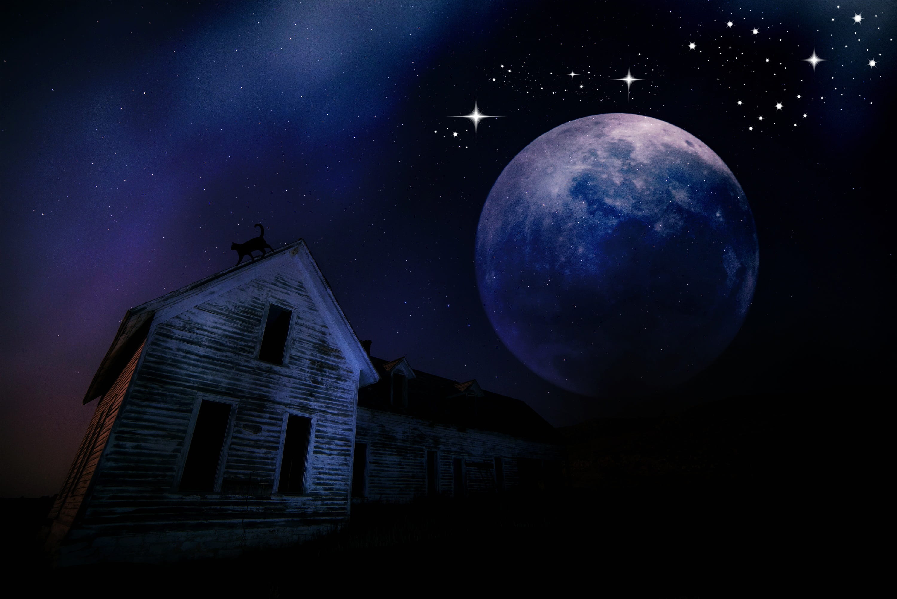 leave, sky, mystical, architecture, star - space, atmosphere, weird, night sky, lonely house, house, mood, wooden, nature, building, starry sky, galaxy, HD Wallpaper