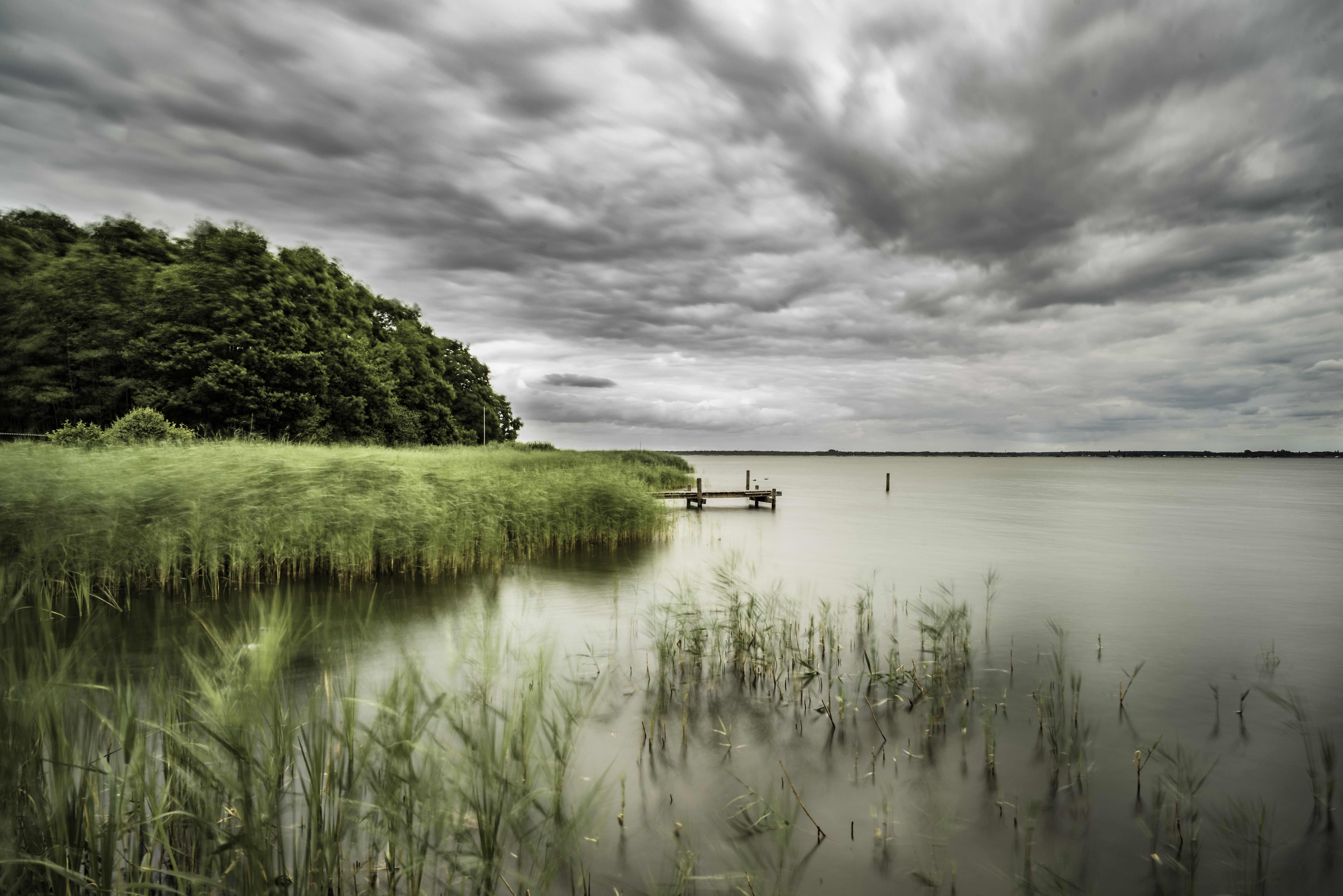 trees, landscape, Berg, field, outdoors, lake, reflection, Deutschland, green, water, river, nature, Rainy Day, Niedersachsen, white, Steinhuder Meer, green grass, HD Wallpaper