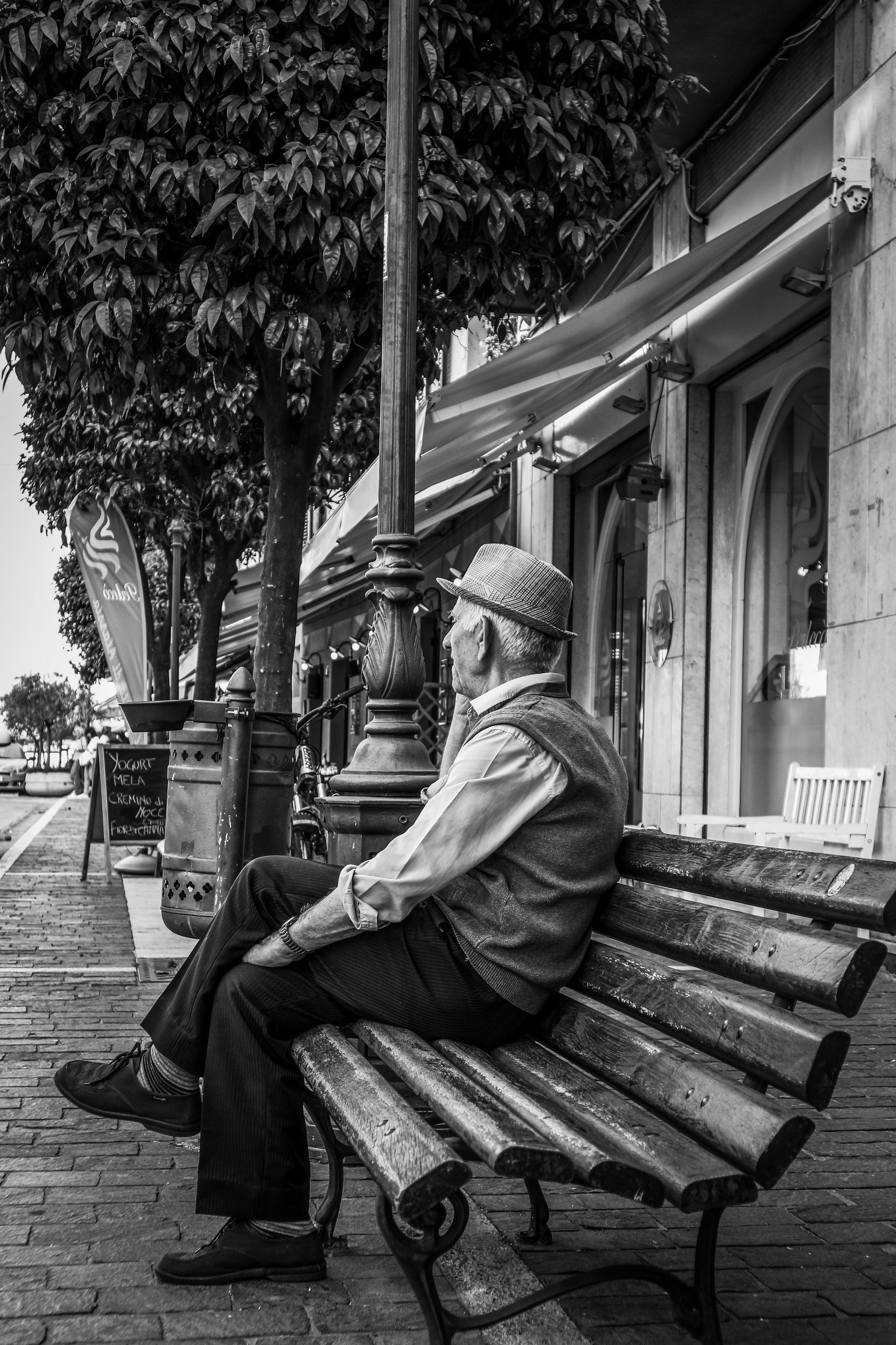 chair, man, plant, portrait, afternoon, sitting, relaxing, casual clothing, leisure activity, retro, senior, city, lifestyles, vintage, bench, senior men, Phone HD Wallpaper