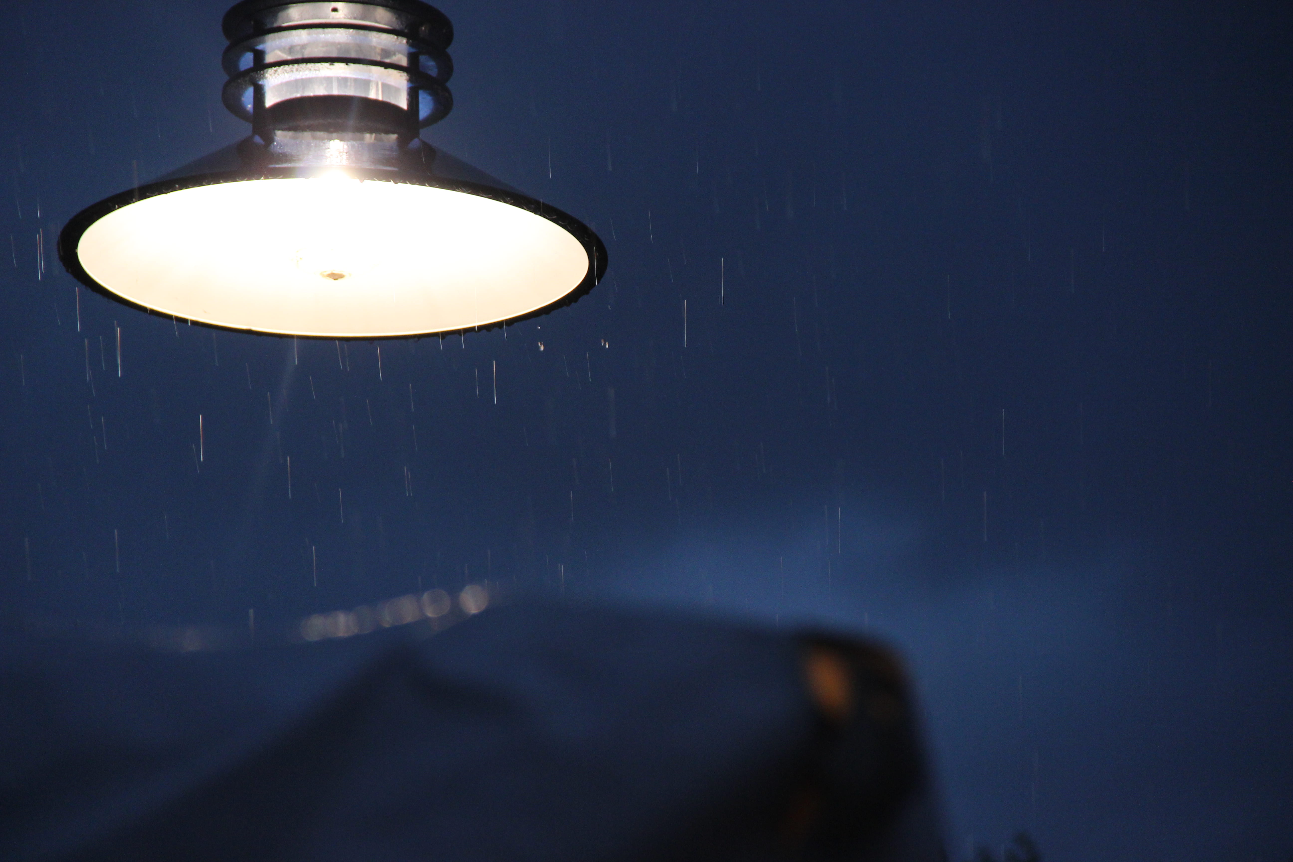 evening, close-up, copy space, fuel and power generation, night, light fixture, ceiling, motion, light, lighting equipment, single object, no people, rain drops, HD Wallpaper