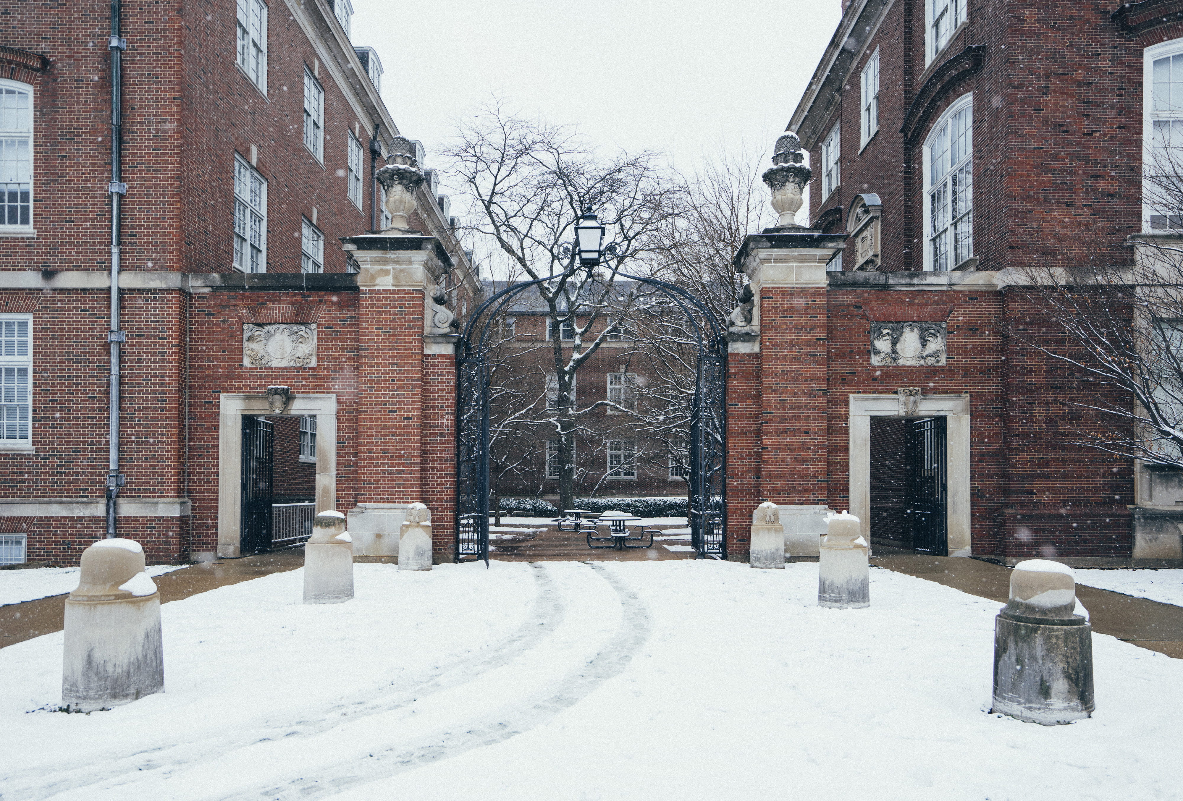 sidewalk, snow, day, tree, brick, university of illinois at urbana-champaign, doorway, 4K, built structure, covering, building exterior, cold temperature, HD Wallpaper