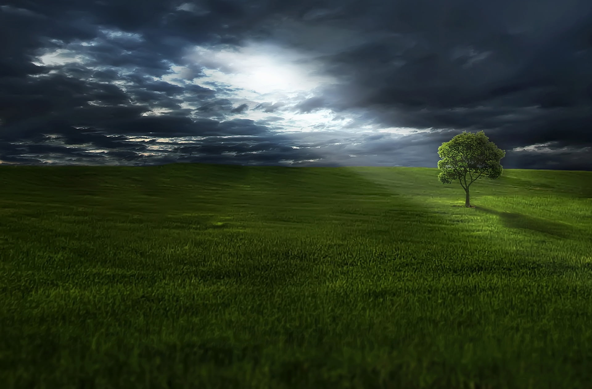 lone, storm, overcast, plant, stars, field, beauty in nature, night, peaceful, scenics, natural, moon, reflection, incredible, land, breathtaking, greenfield, HD Wallpaper