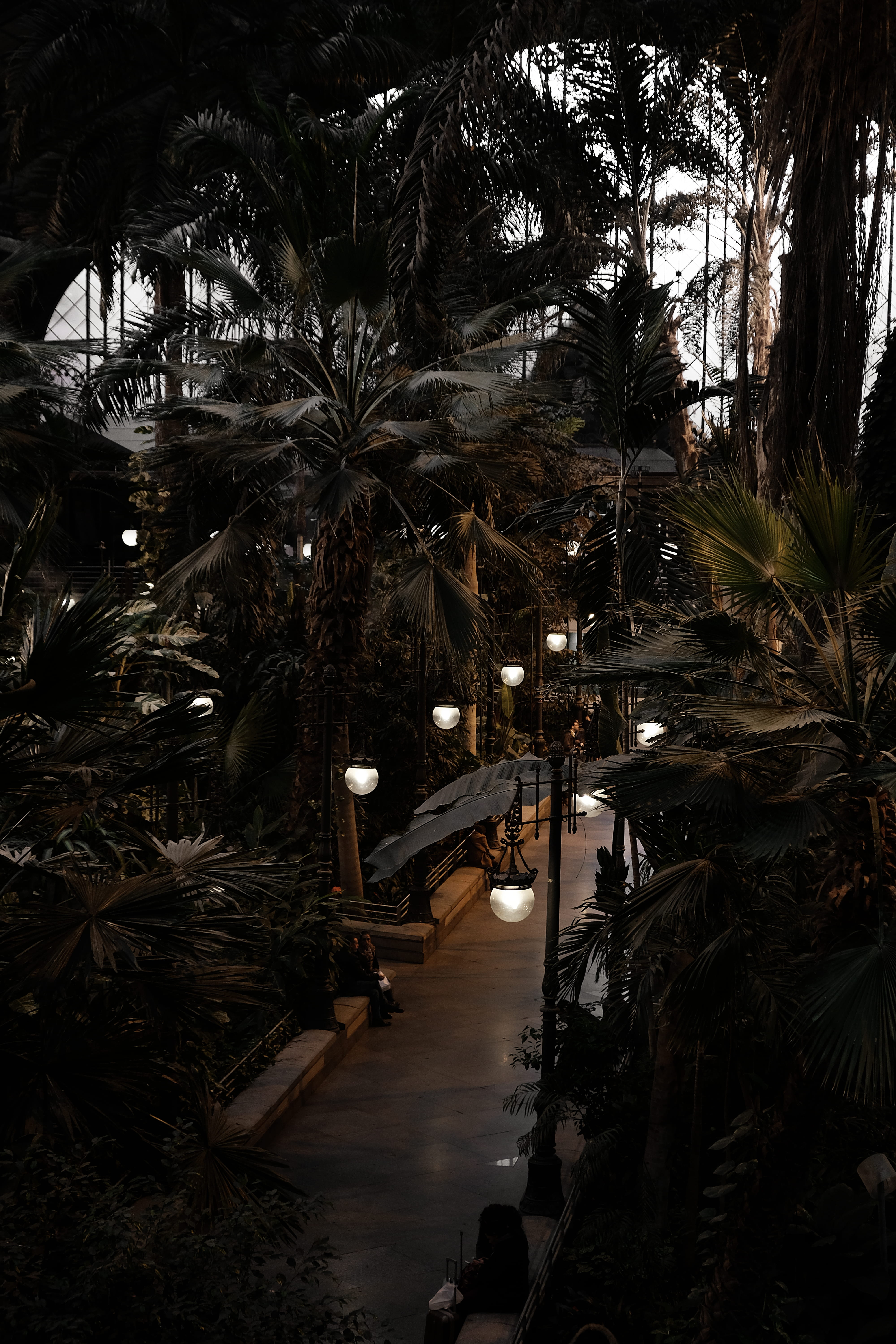 indoor.indoorpark, lights, trees, madrid, water, illuminated, growth, palmgarden, no people, architecture, transportation, tree, botanicalgarden, atocha, Phone HD Wallpaper