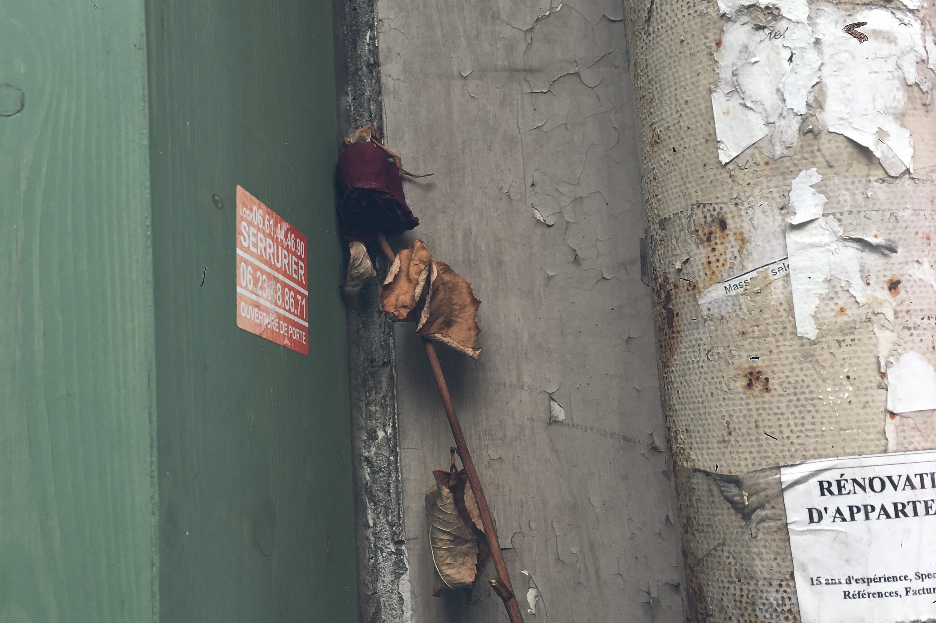 red, entrance, outdoors, one animal, love, poetry, hanging, sack, door, text, street, no people, happiness, non-western script, 2K, architecture, rose, HD Wallpaper