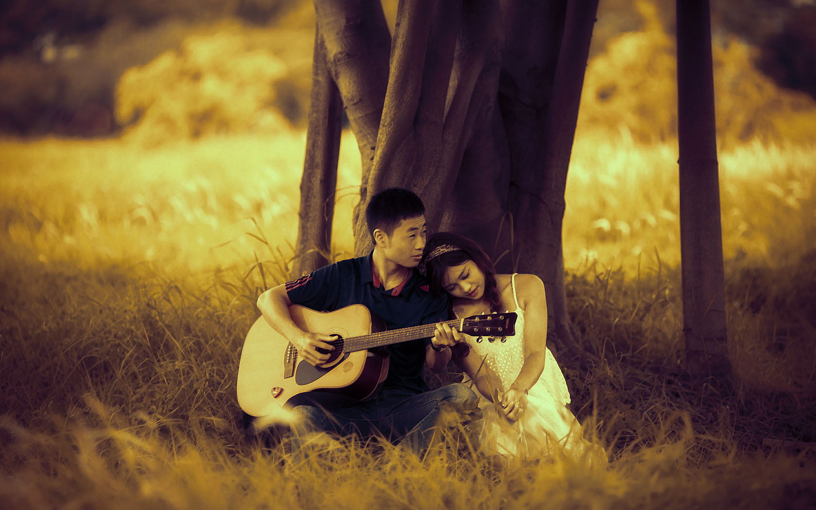 outdoors, grass, childhood, brown, people, string instrument, dreadnought, forest, nature, land, Love, tree, acoustic, musical instrument, offspring, innocence, HD Wallpaper
