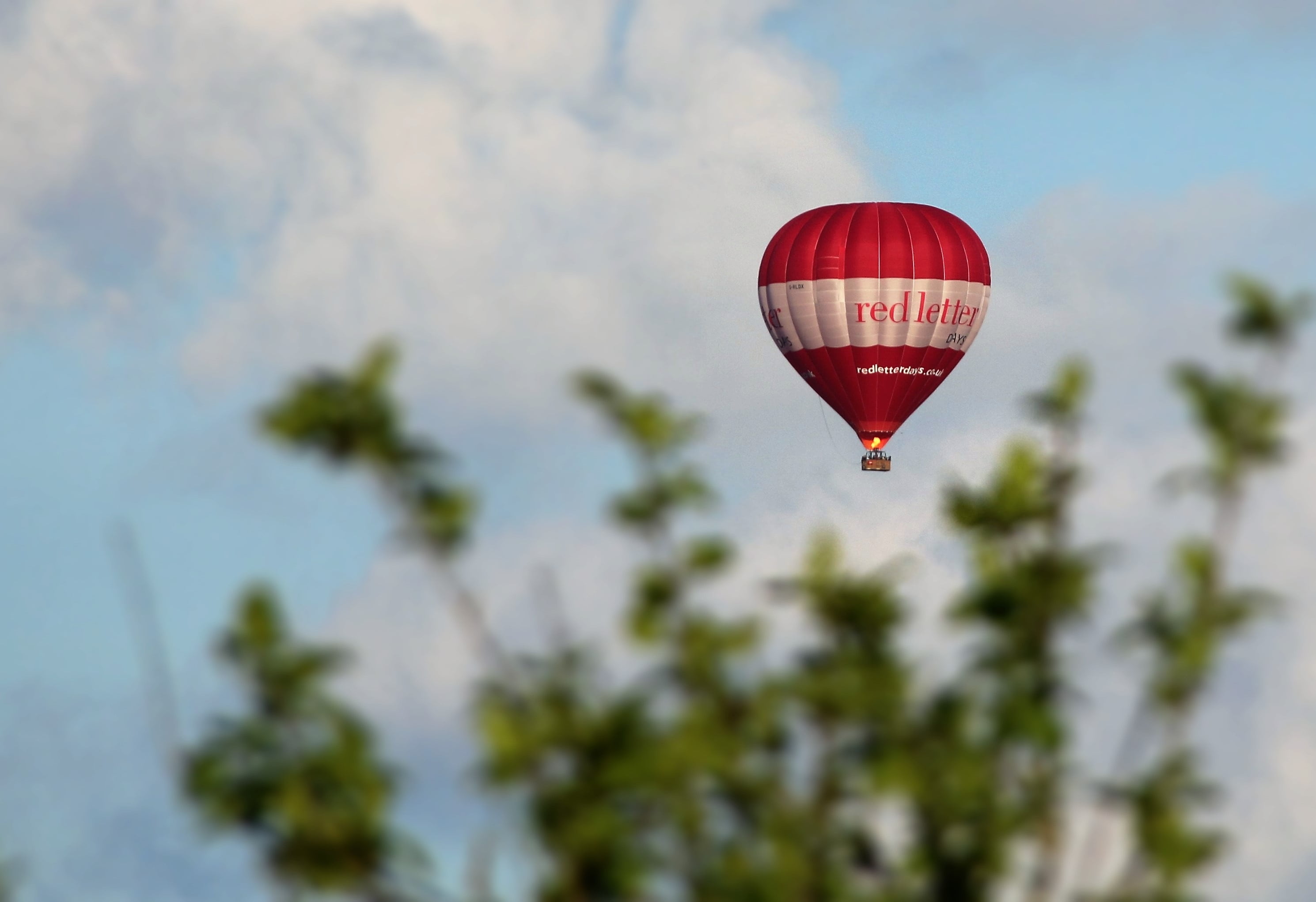 adventure, low angle view, plant, flight, ballooning, outdoors, hot air balloon, red, balloon, 2K, float, cloud - sky, transportation, day, no people, HD Wallpaper