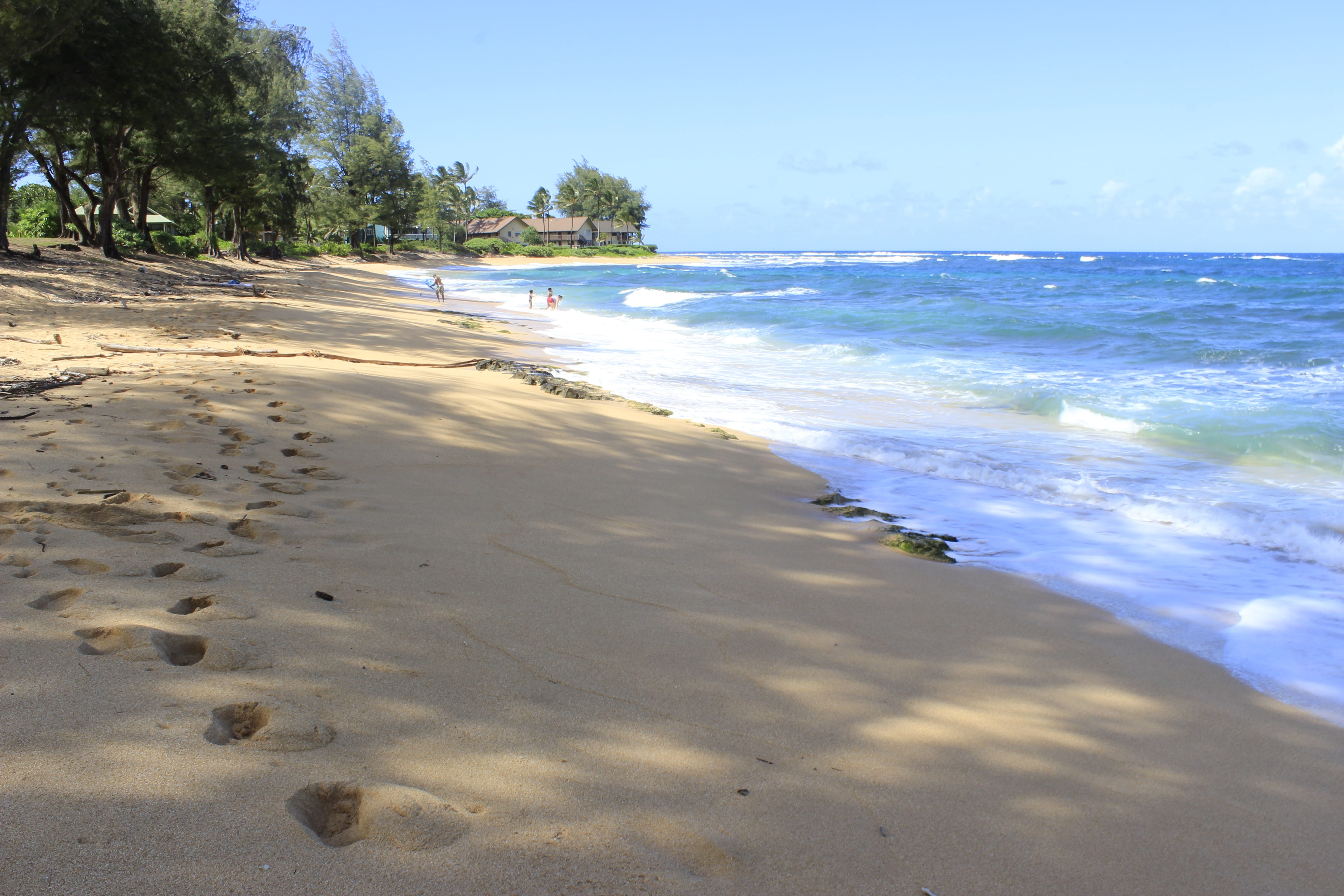 exotic, vacations, surface, ocean, environment, outdoors, tropical, shore, sand, tranquil scene, scenics, tropical Climate, beauty In Nature, wave, tree, HD Wallpaper