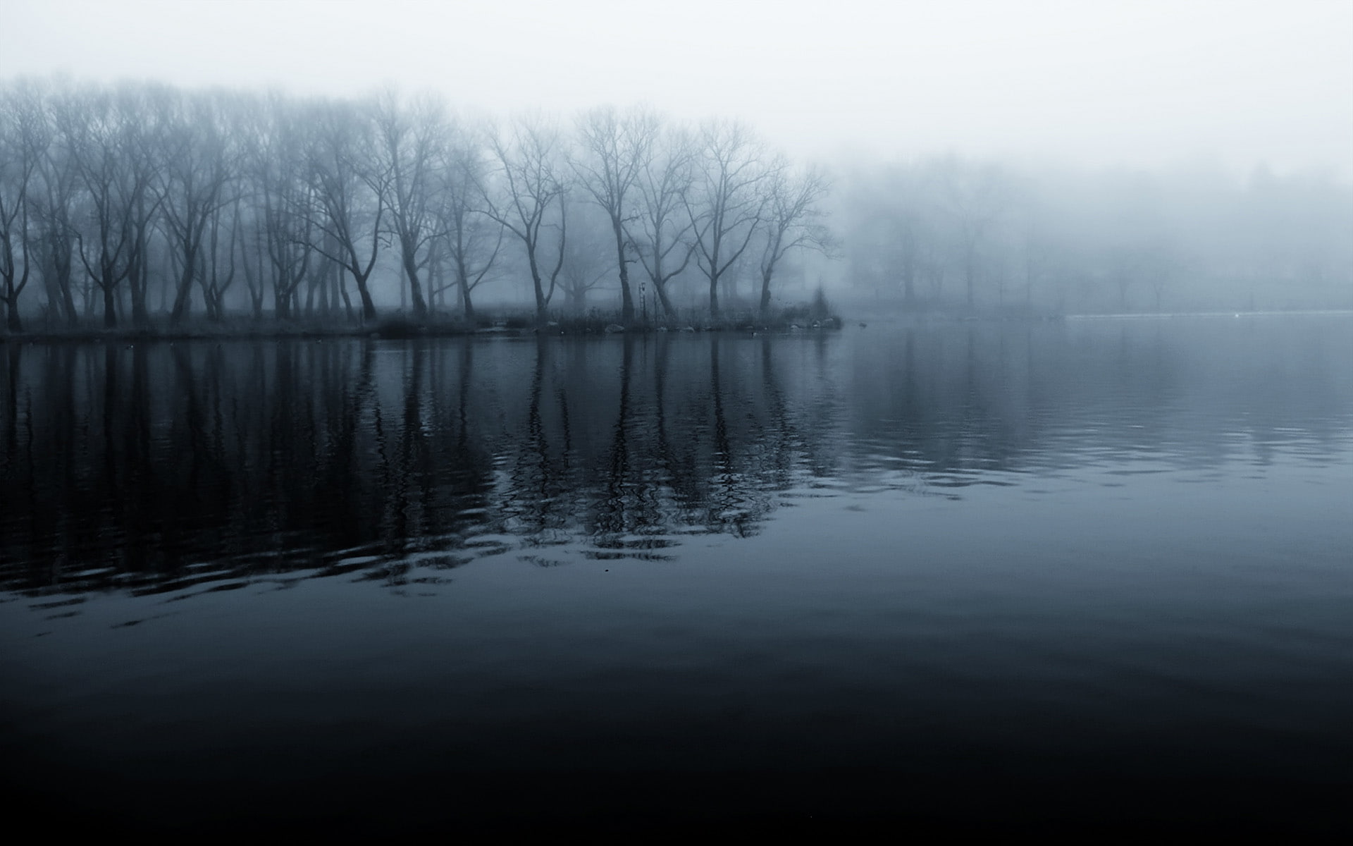 landscape, fog, blue, monotone, newyork, nikond200, 1080P, nikon, photography, lake, water, foggy, nature, seascape, morning, mist, trees, kissenapark, HD Wallpaper
