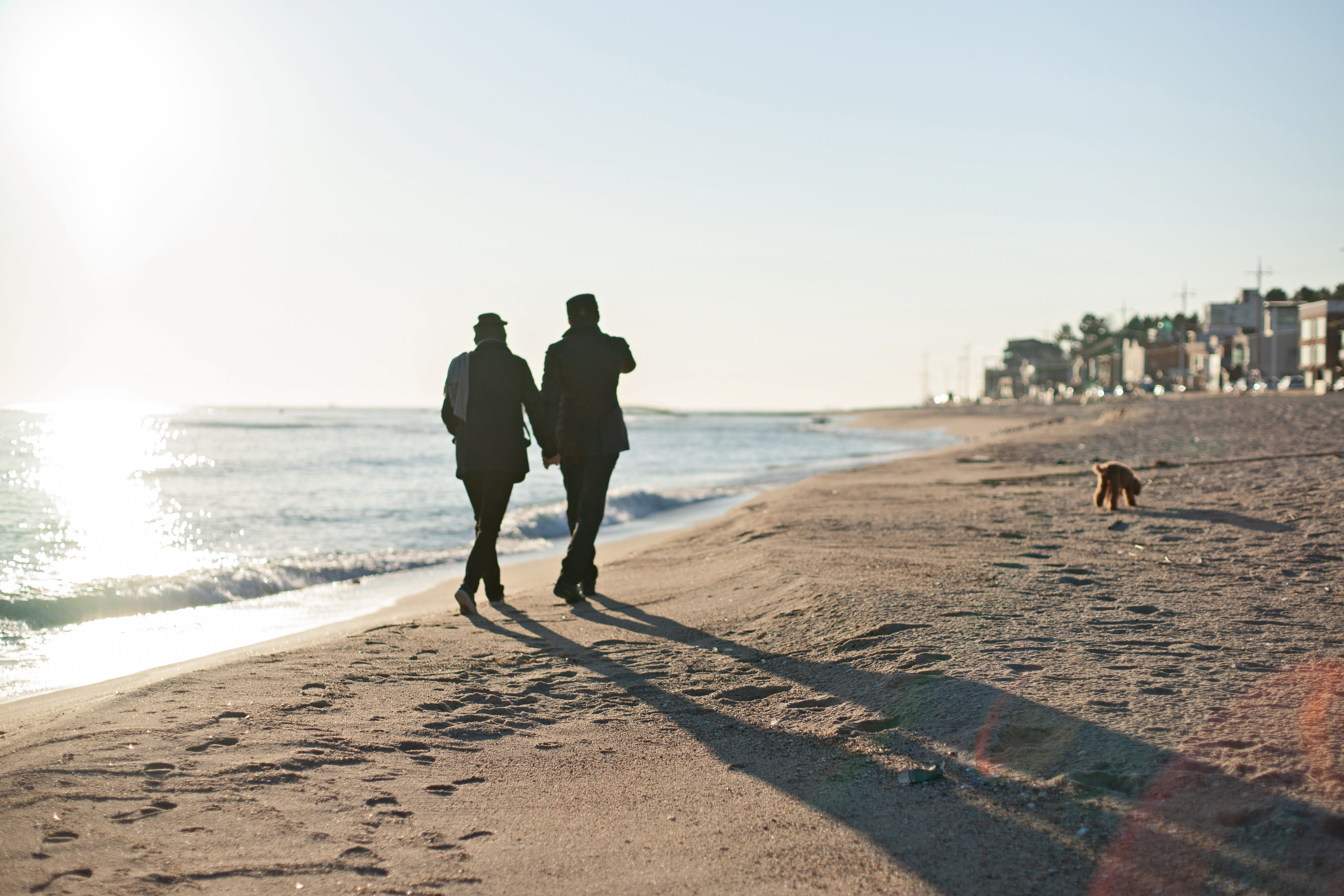 real people, sky, walking, walk, togetherness, coast, coastal, sunrise, canine companion, sand, outdoors, water, nature, morning, adult, gangneung, tourism, HD Wallpaper