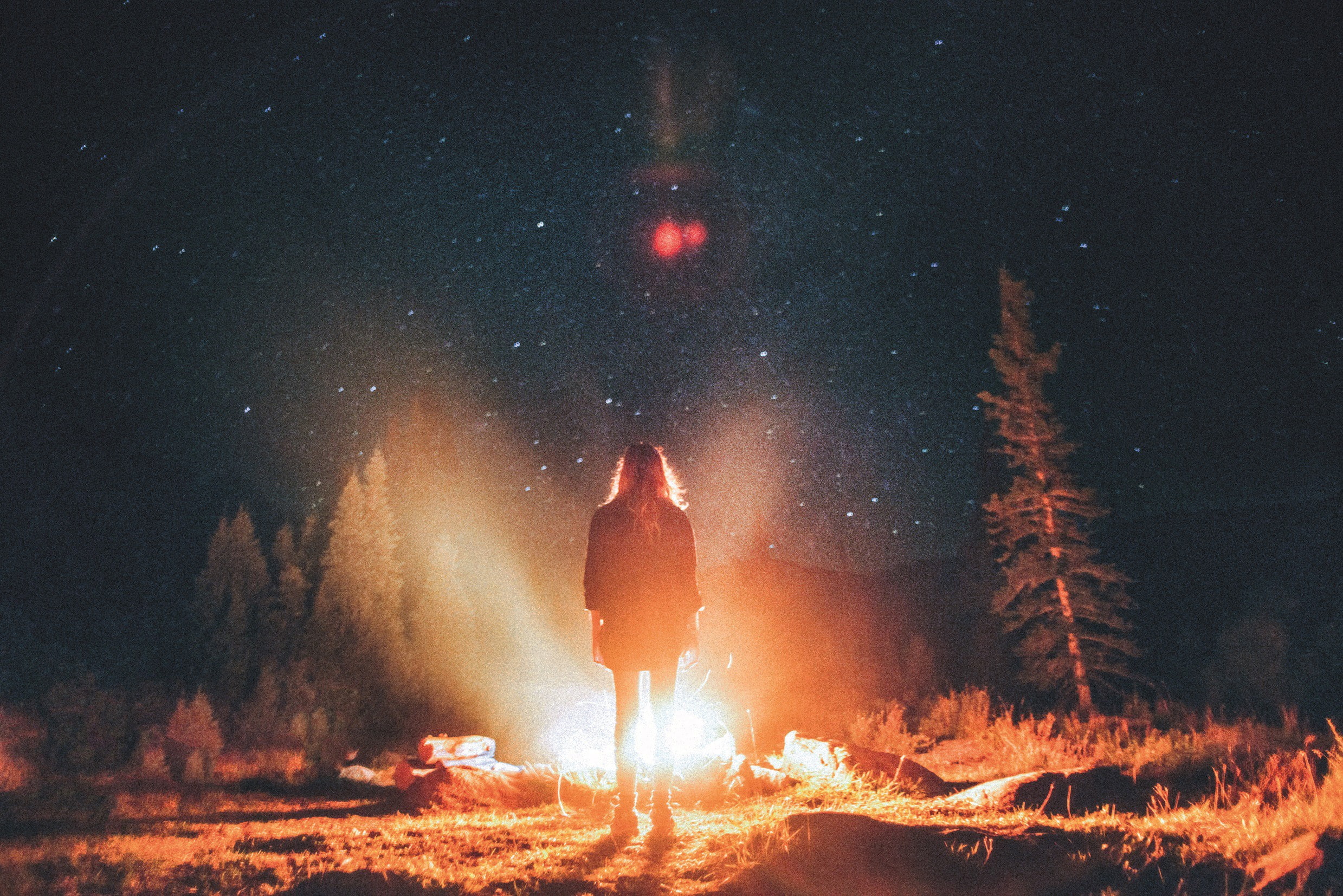 fire, women outdoors, back, forest, women, trees, stars, night sky, night, 1080P, introvert, campfire, HD Wallpaper