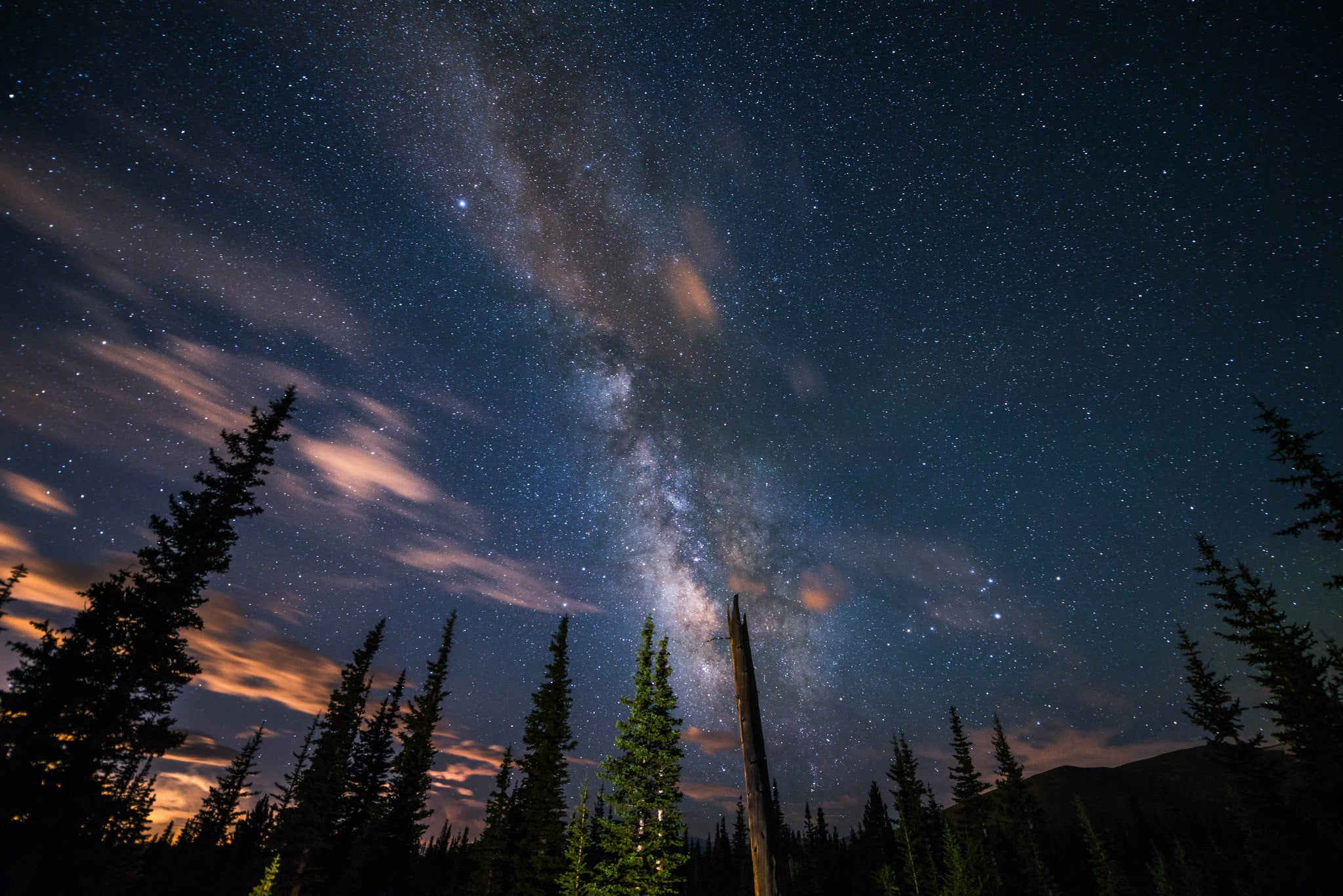 pine, scenics - nature, space, idyllic, star, tree, non-urban scene, outdoors, green, no people, milky way, beauty in nature, astronomy, tranquility, low angle view, HD Wallpaper