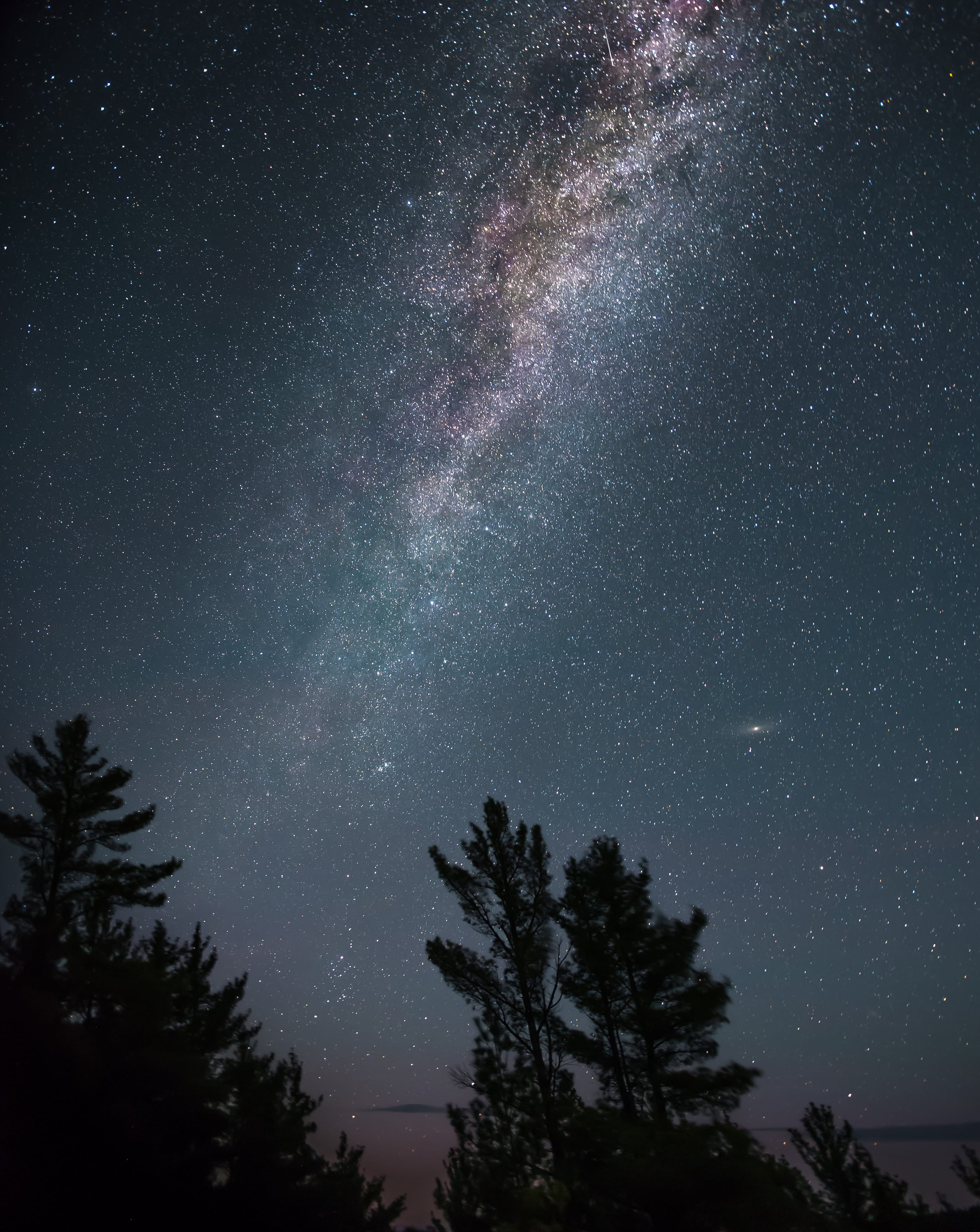 constellation, plant, nebula, star Shape, Good Night, idyllic, trees, nature, scenics, beauty in nature, tree, astronomy, tranquil scene, lot, no People, Phone HD Wallpaper