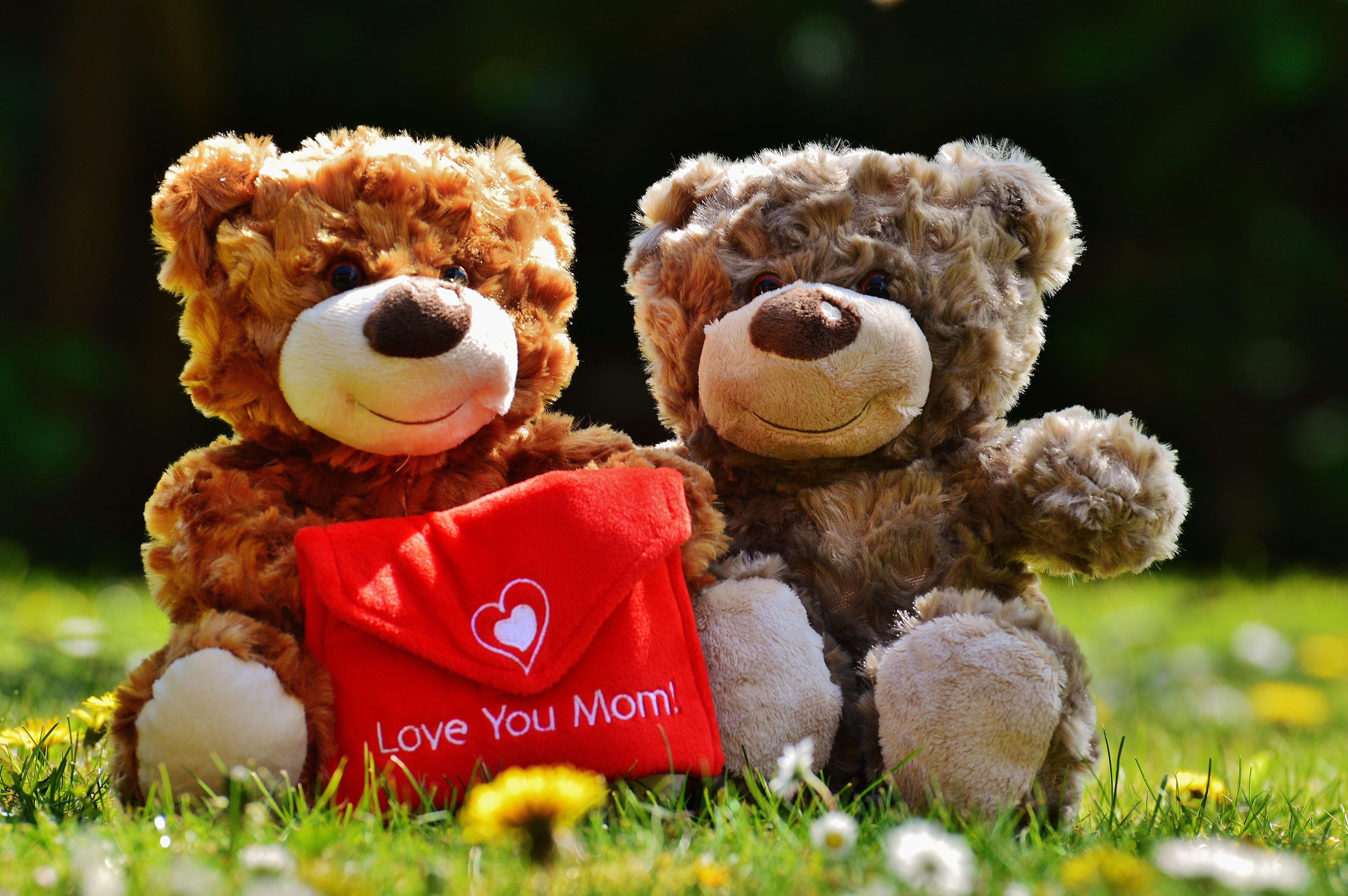 emotion, welcome, field, two, brown, plush, 5K, greeting, mothers day, mama, teddy bear, animal themes, bear, toys, thank you, stuffed toy, connectedness, HD Wallpaper
