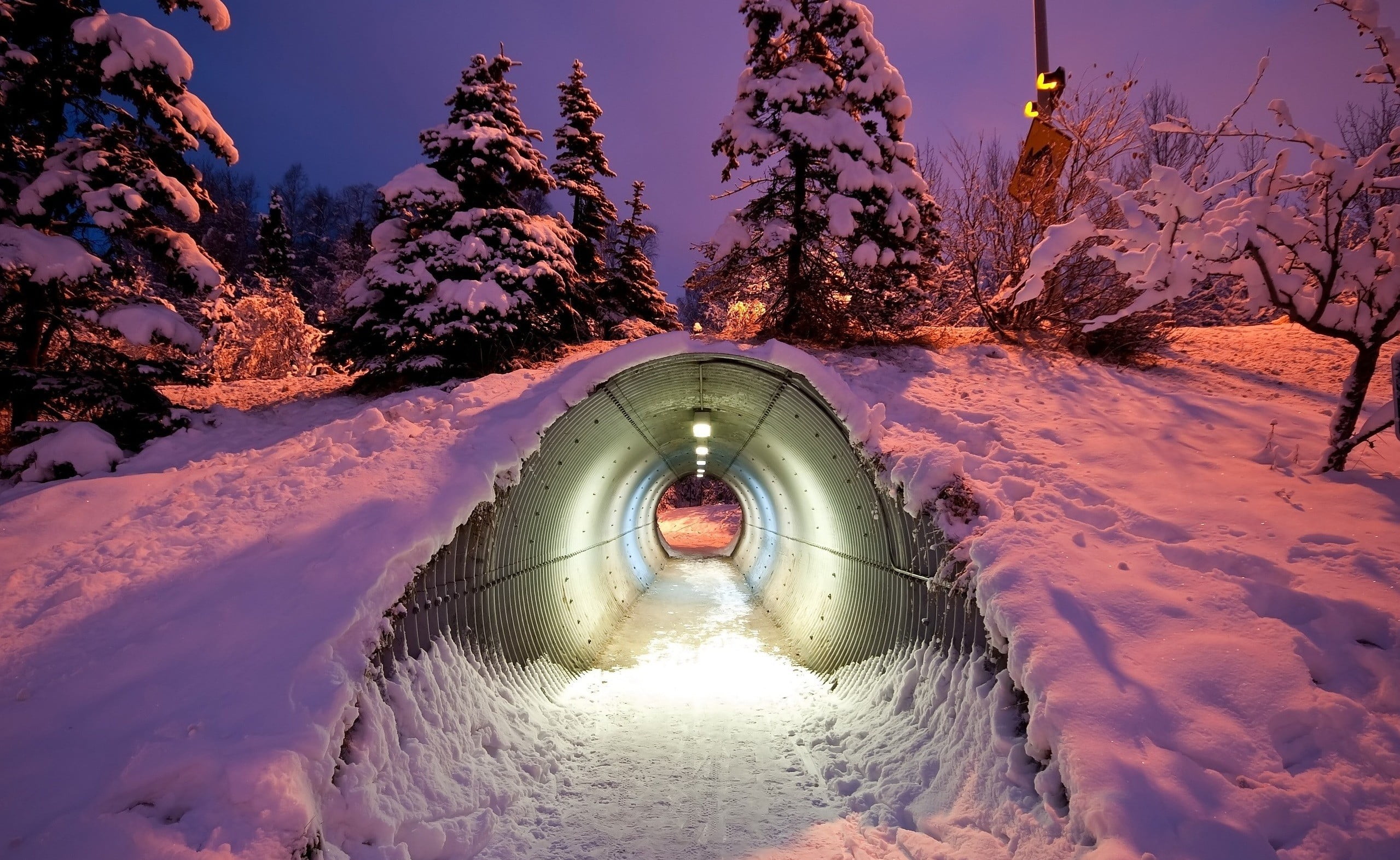 photography, 1080P, tunnel, night, nature, frozen, sky, plant, winter, beauty in nature, scenics - nature, steel, outdoors, no people, snow, trees, gray, HD Wallpaper
