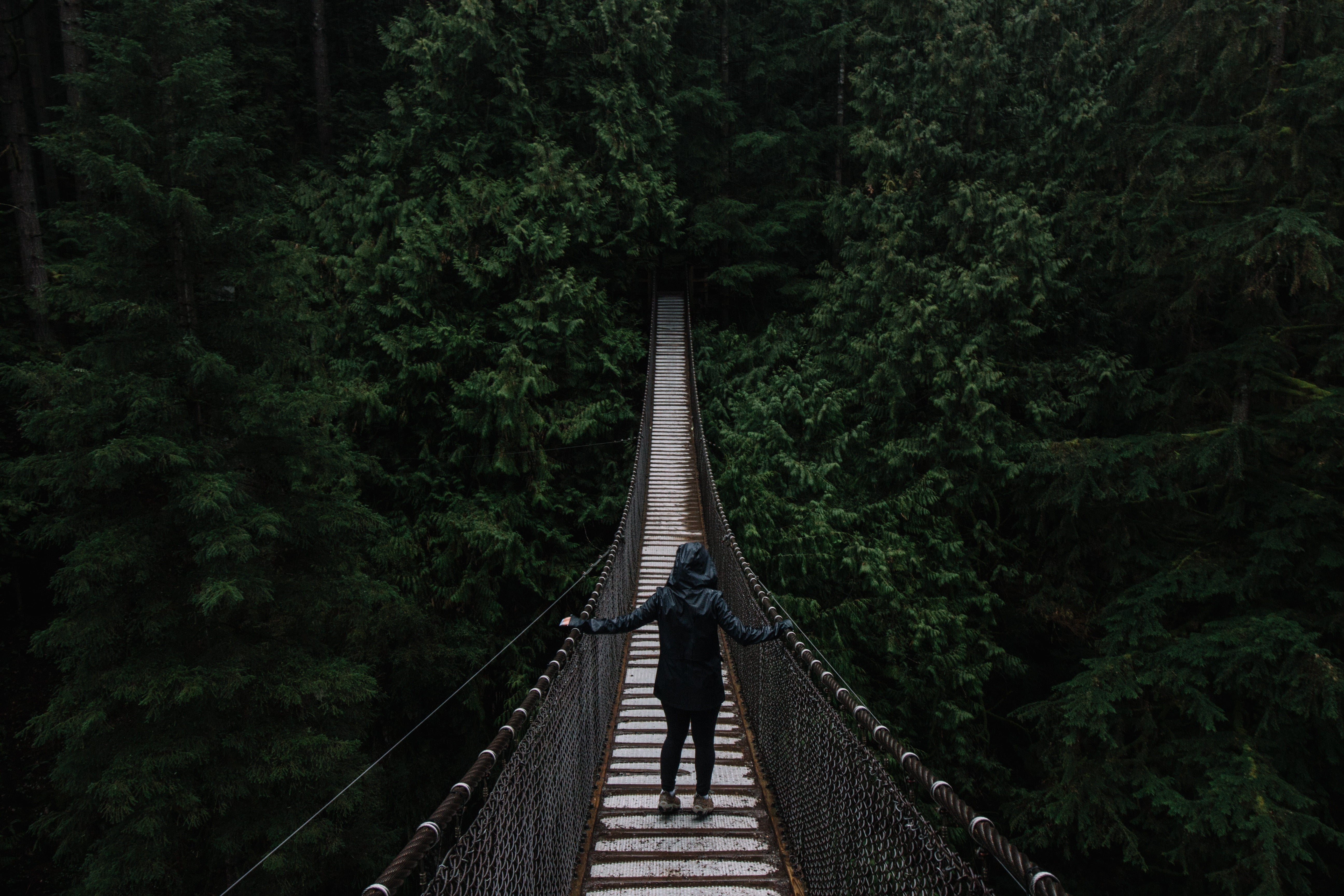 people, brown, 5K, nature, man, architecture, one person, landscape, rope, diminishing perspective, tree, bridge, bridge - Man Made Structure, full length, HD Wallpaper