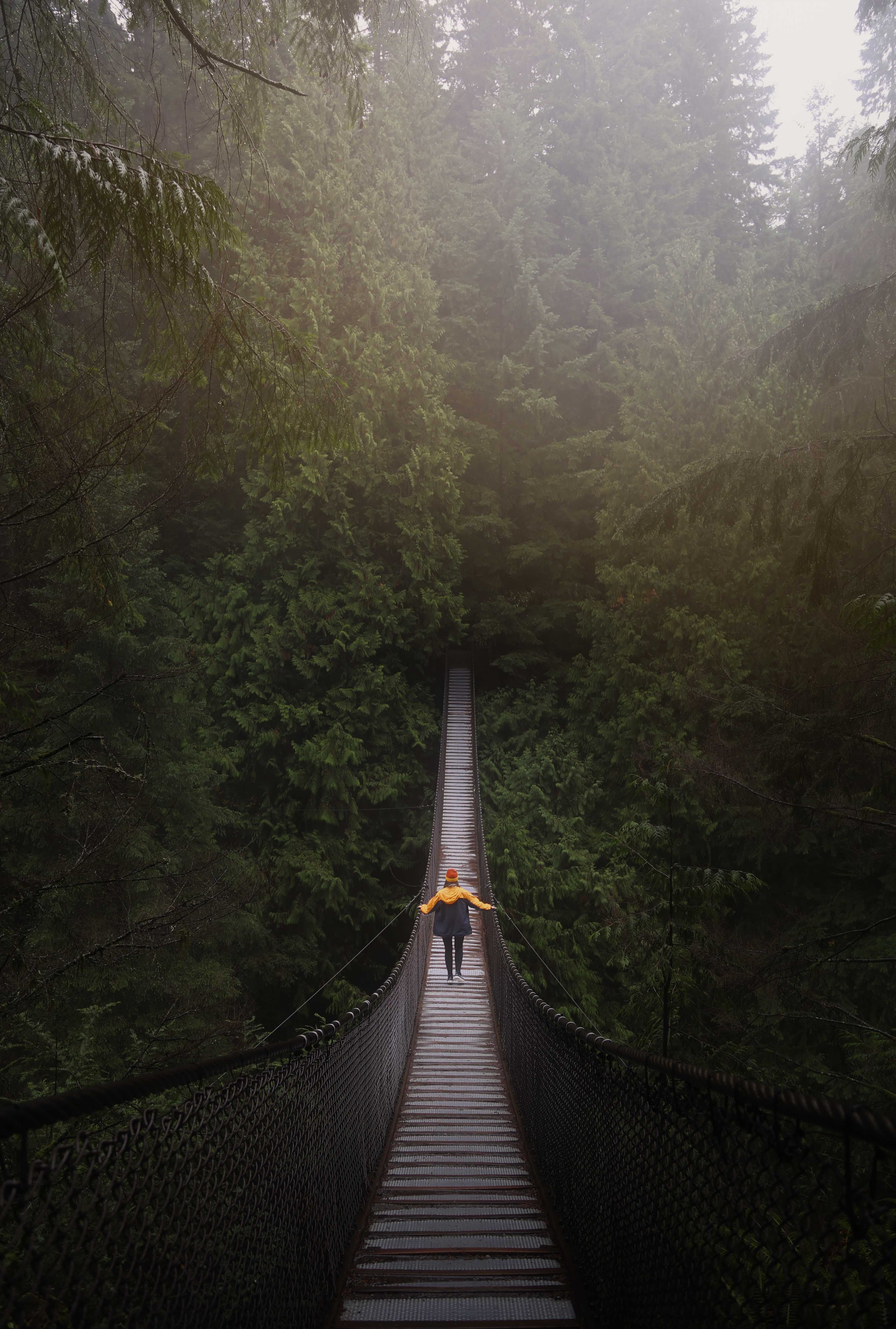 brown, connection, travel, architecture, canada, built structure, forest, bridge, land, vancouver, plant, hanging, walking, man, tranquility, the way forward, Phone HD Wallpaper