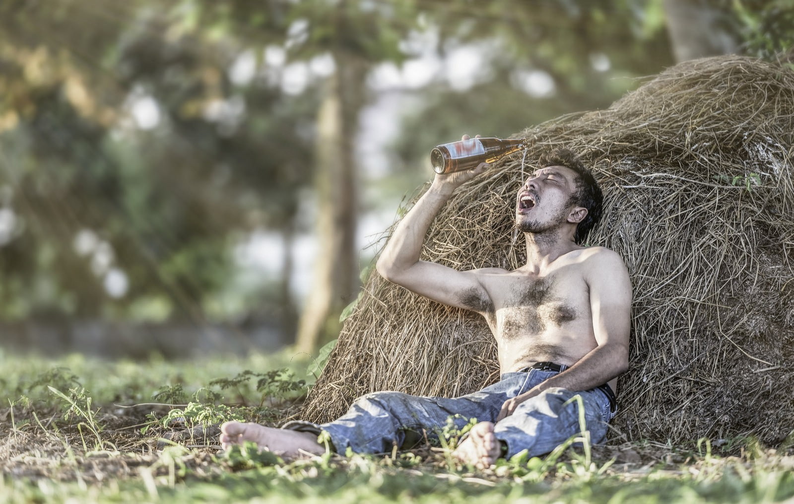grass, lifestyles, one person, plant, full length, sunlight, nature, day, drunk, real people, men, land, hay, young adult, outdoors, 720P, sitting, holding, HD Wallpaper