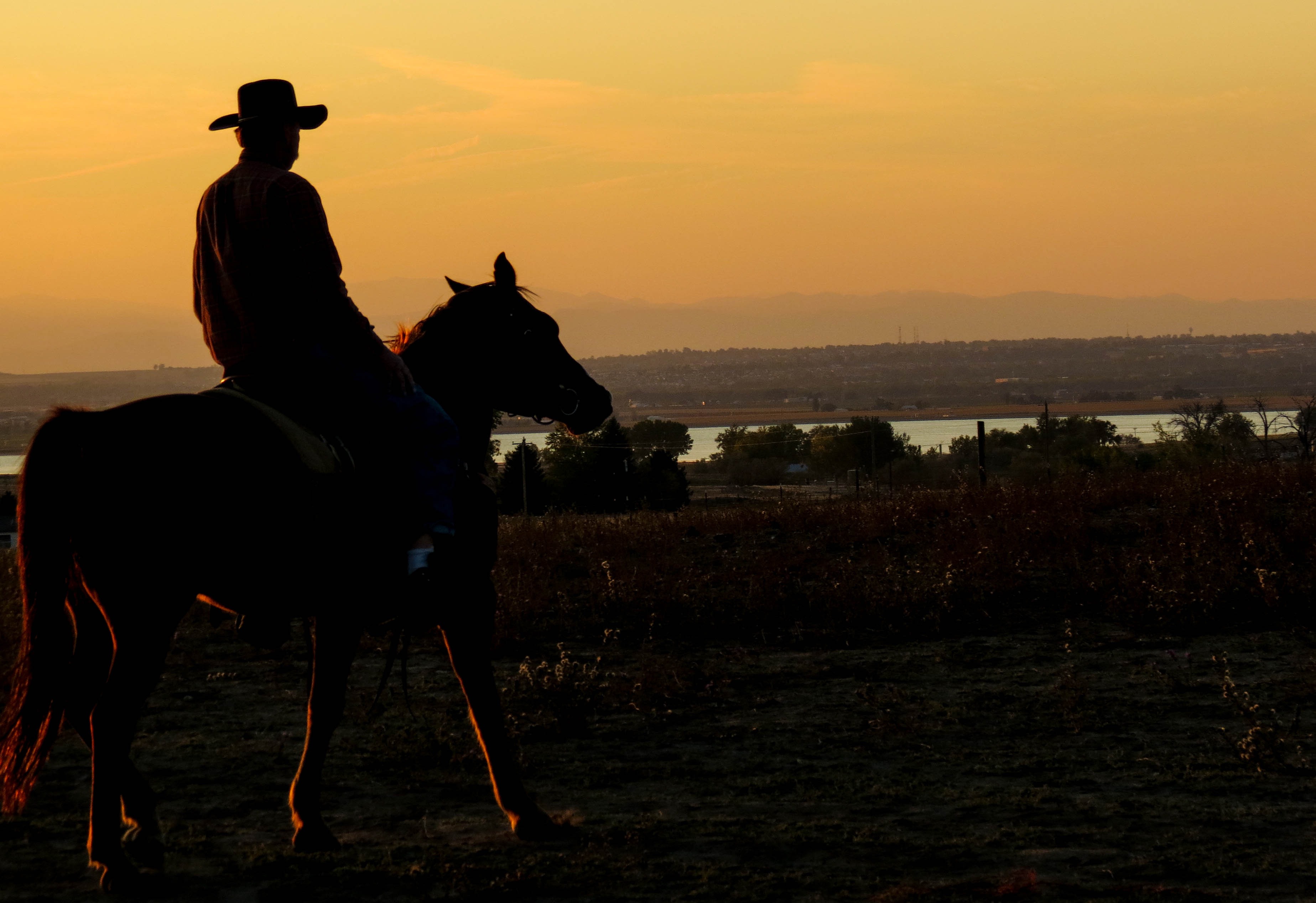 sunset, western, 2K, nature, vertebrate, ride, animal, herbivorous, livestock, land, cowboy, outdoors, hat, horseback Riding, domestic animals, man, sky, HD Wallpaper