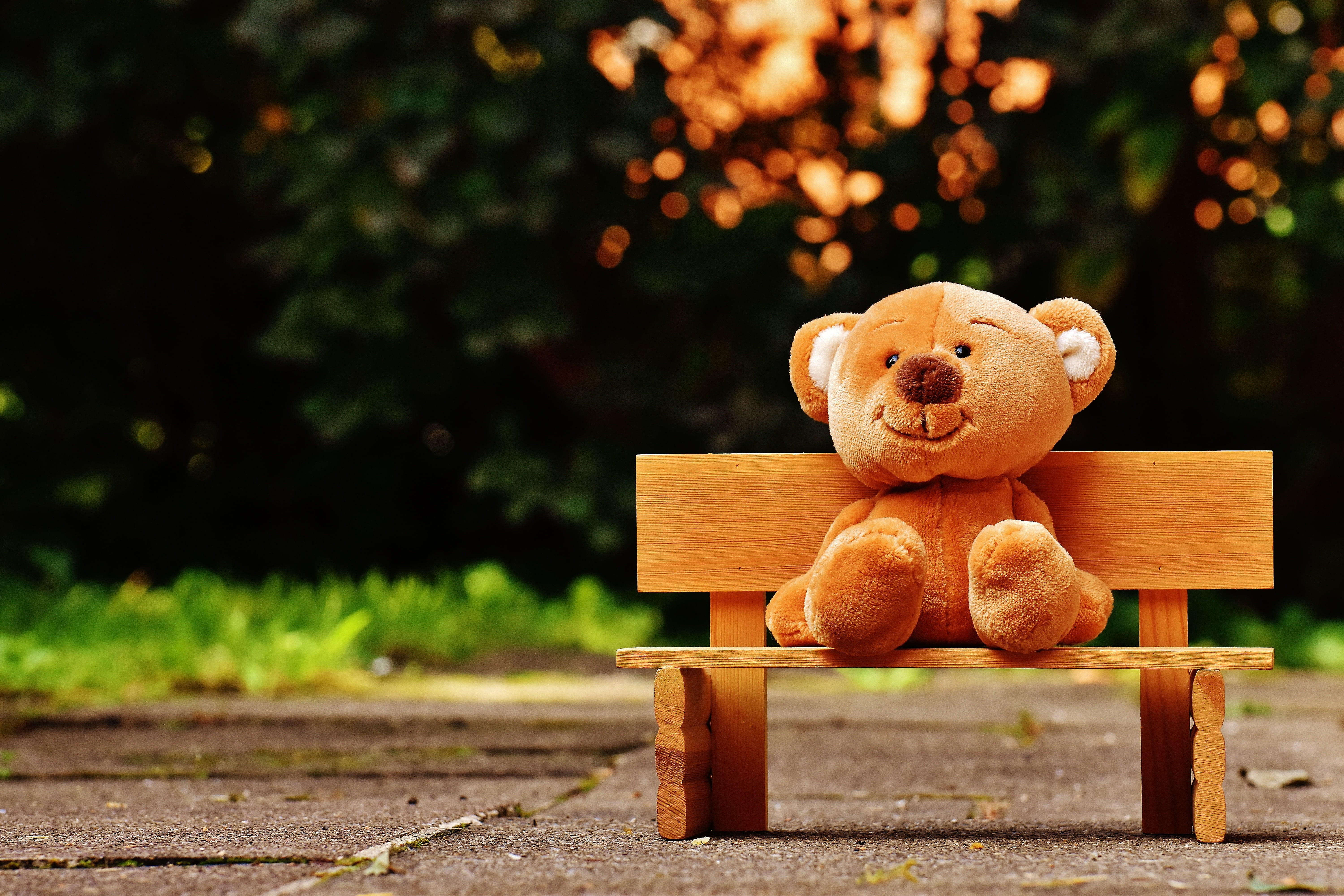 art and craft, wooden bench, no people, soft toys, nature, plush, absence, cute, representation, teddy Bear, outdoors, bear, rest, bench, animal representation, HD Wallpaper