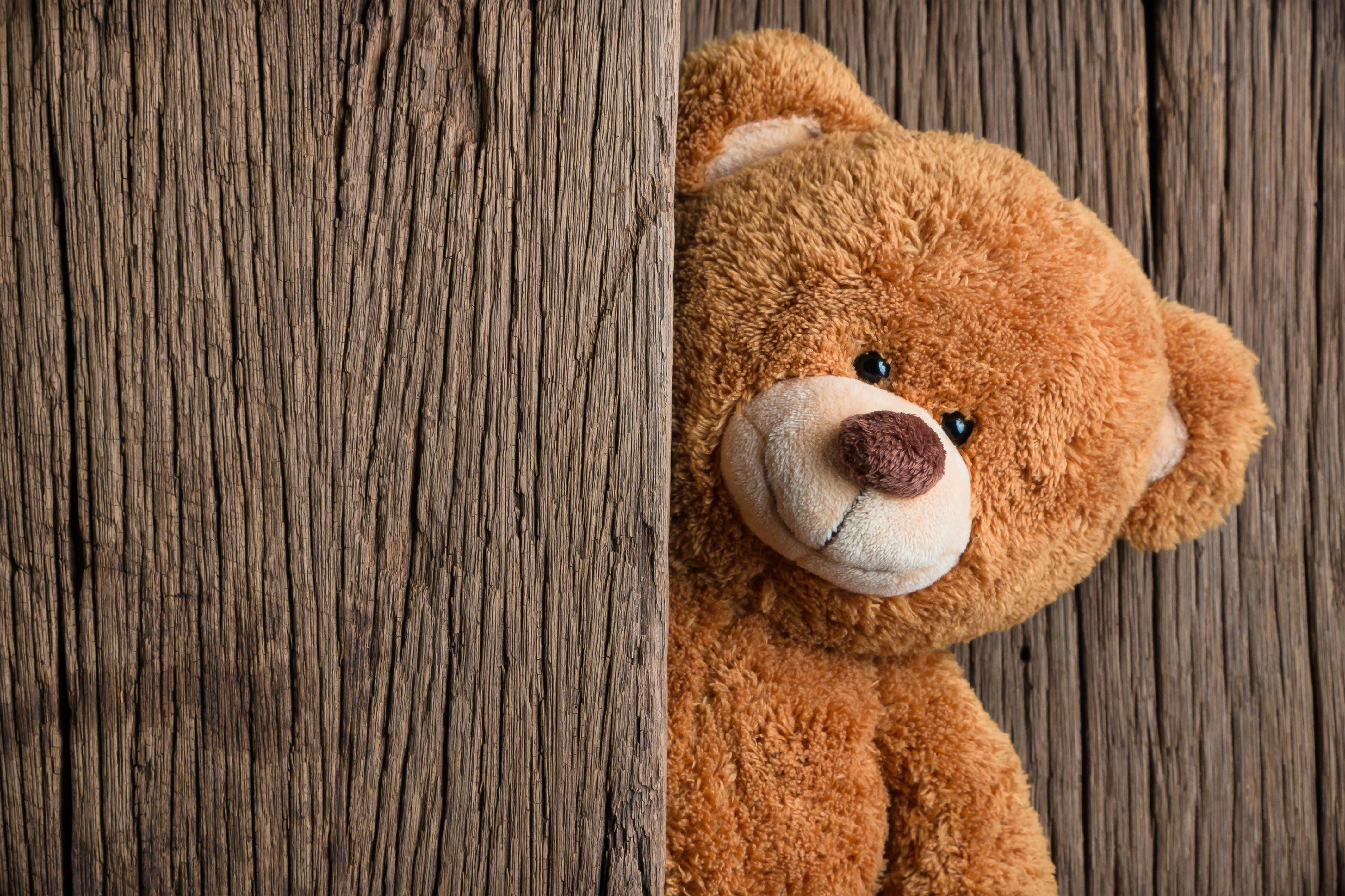 fun, close-up, one animal, mammal, representation, no people, softness, dog, toy, plush, cute, animal, brown, day, bear, outdoors, wood, animal representation, HD Wallpaper
