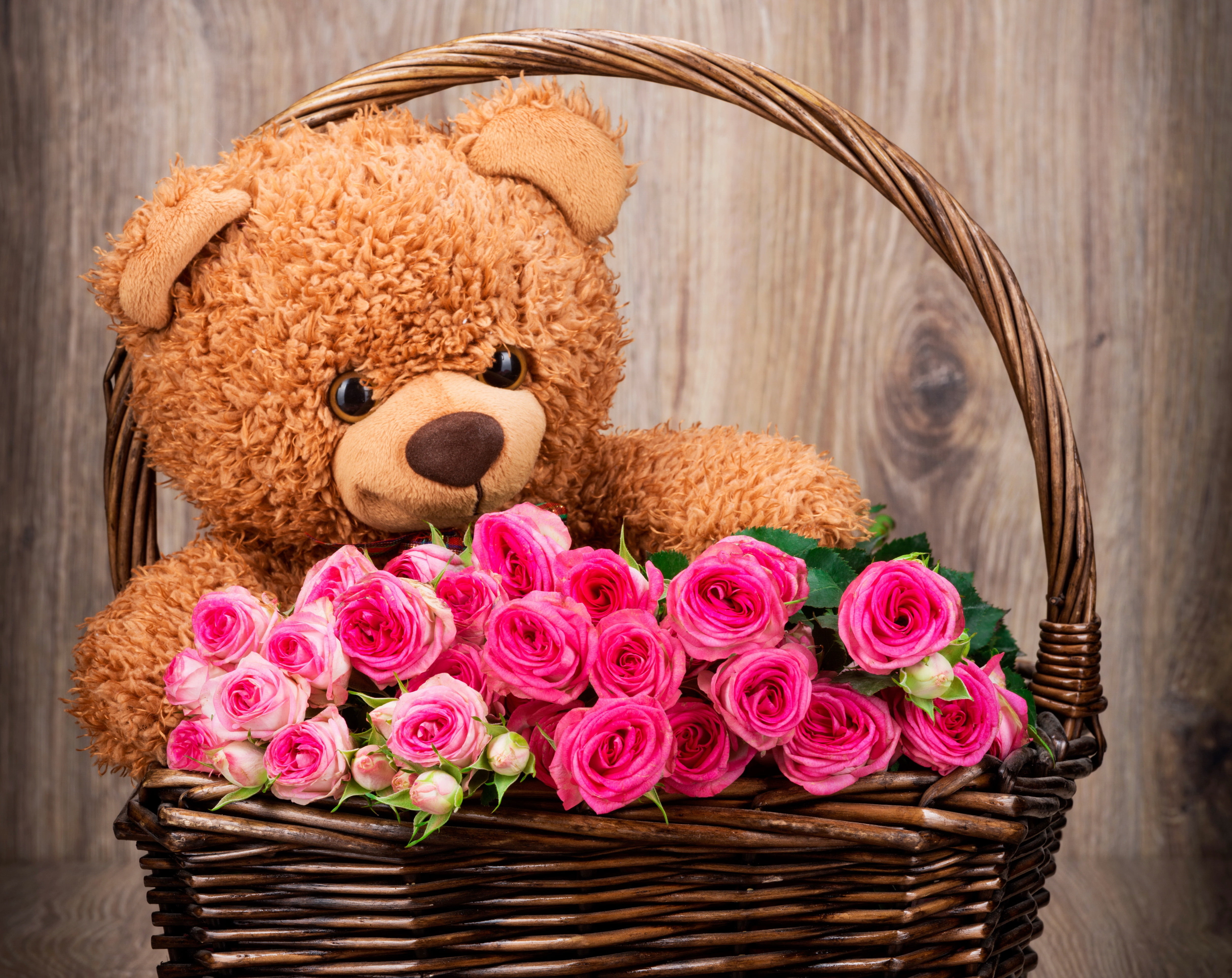 container, softness, wicker, indoors, 4K, toy, wood - Material, flower arrangement, roses, fun, bear, plant, plush, no People, rustic, love, pink, decoration, HD Wallpaper