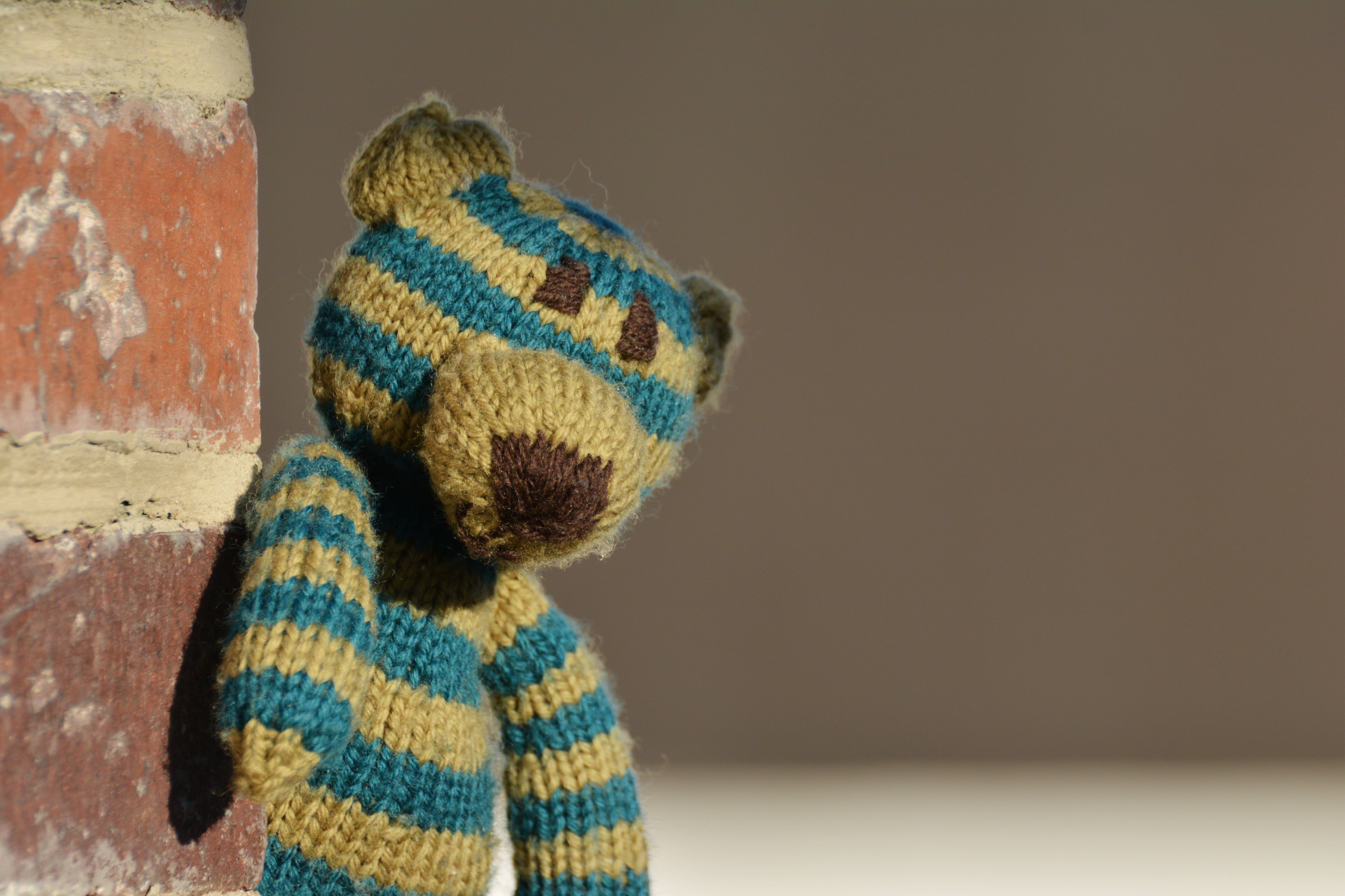 reptile, one animal, one person, animal wildlife, 5K, photography, loneliness, toy, keep an eye out, animal head, indoors, alone, childhood, wool, teddy bear, HD Wallpaper