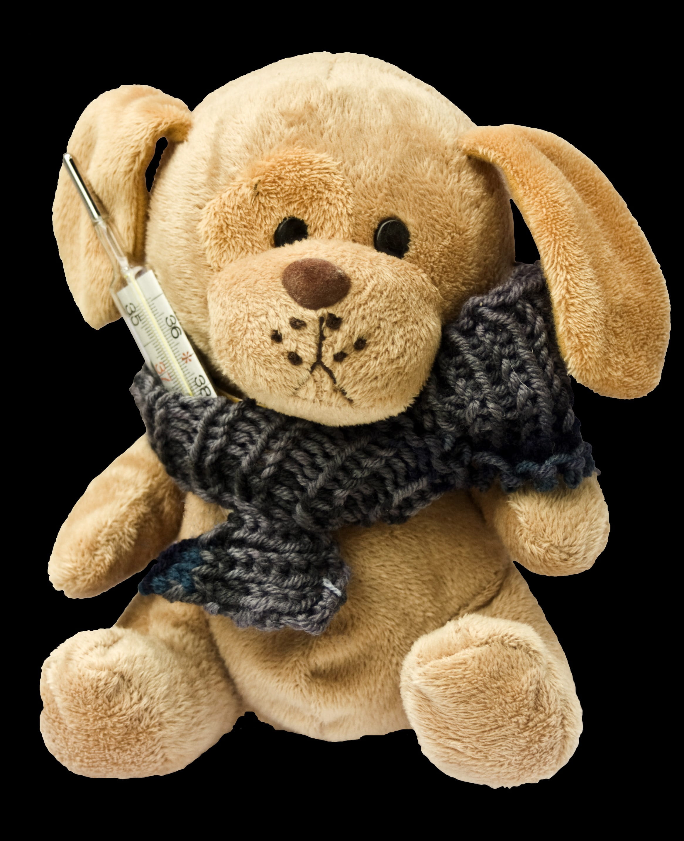 toy, knuffig, studio Shot, cold, cute, stuffed Toy, black background, brown, softness, creativity, gray, Stuffed Animal, medical, close-up, scarf, animal representation, Phone HD Wallpaper