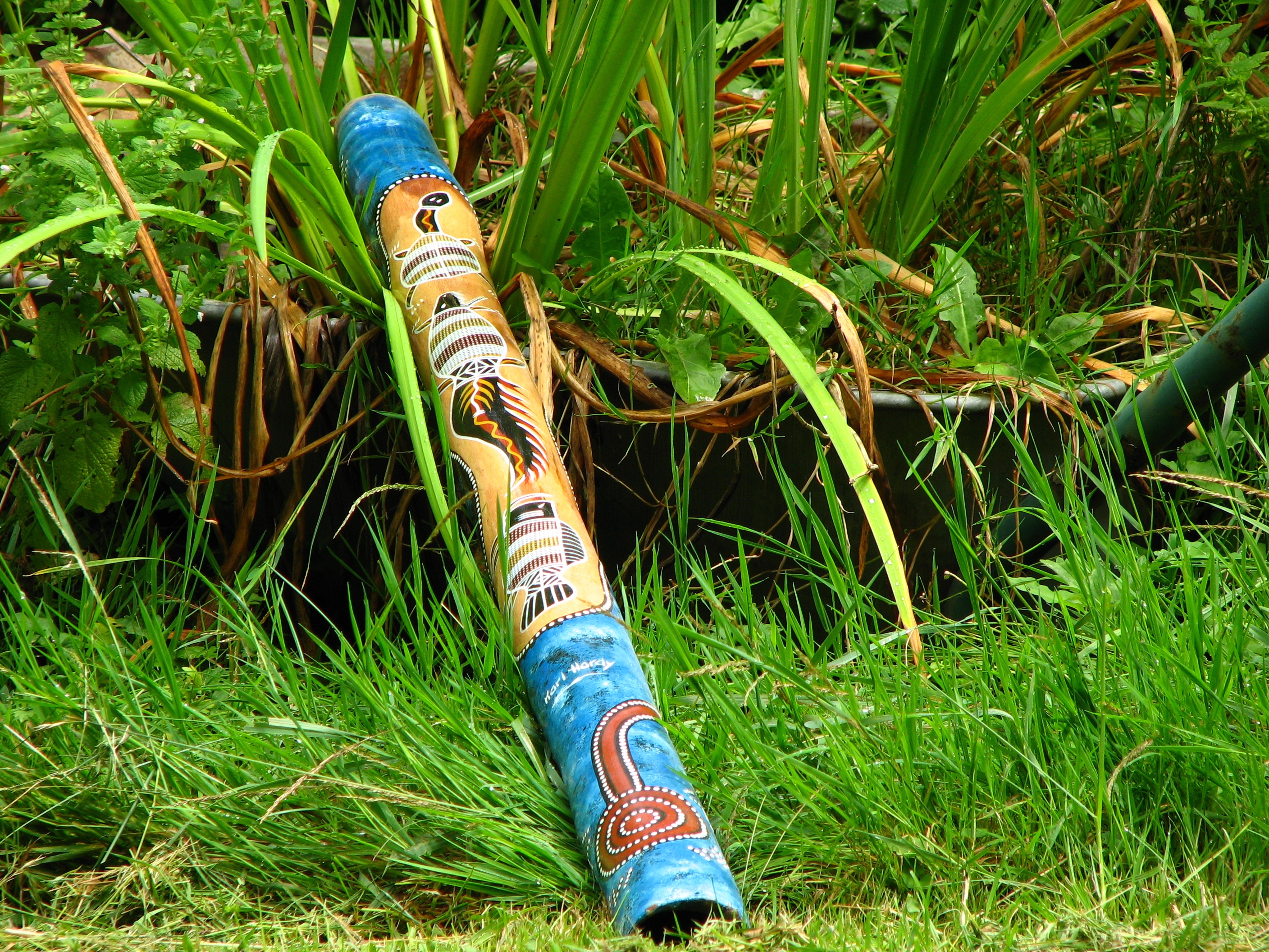 human leg, colorful, plant, outdoors, day, australia, lifestyles, real people, green color, grass, one person, blue, jeans, didgeridoo, 2K, low section, HD Wallpaper