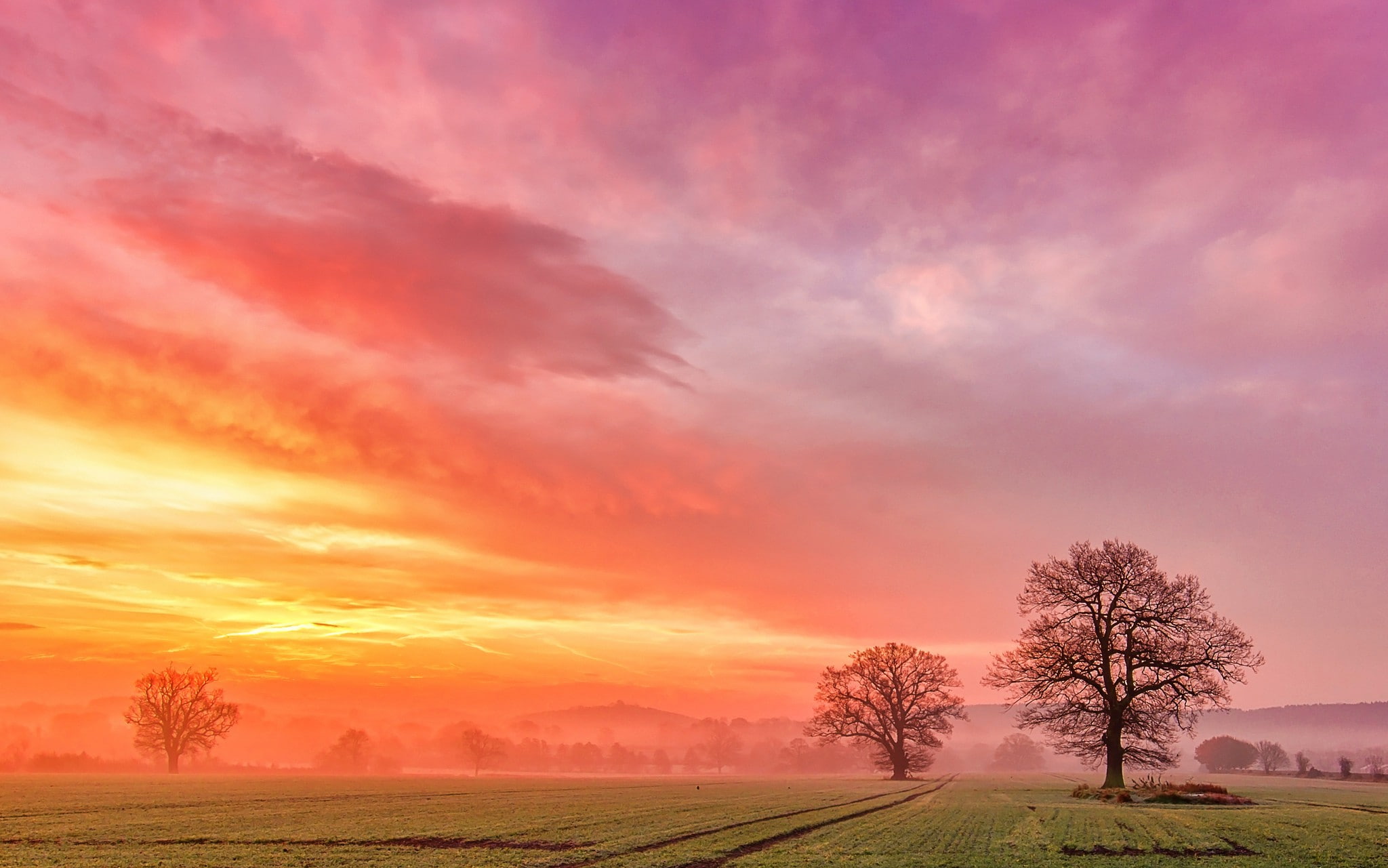 nature, trees, beautifull, fog, 1080P, field, dawn, clouds, HD Wallpaper