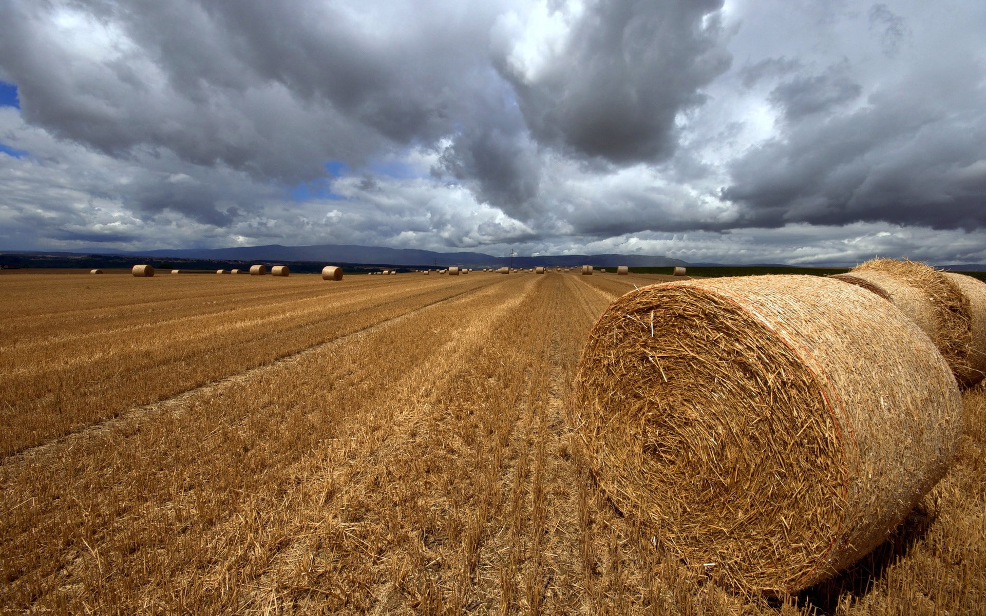 hay, sky, land, nature, scenics - nature, beautifull pictures of nature 1920x1200, cloud - sky, rain, harvesting, cereal plant, no people, landscape, bale, HD Wallpaper