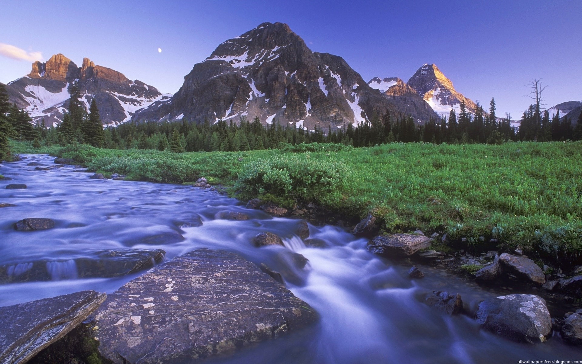 beautifull pictures of nature 1920x1200, 1080P, HD Wallpaper