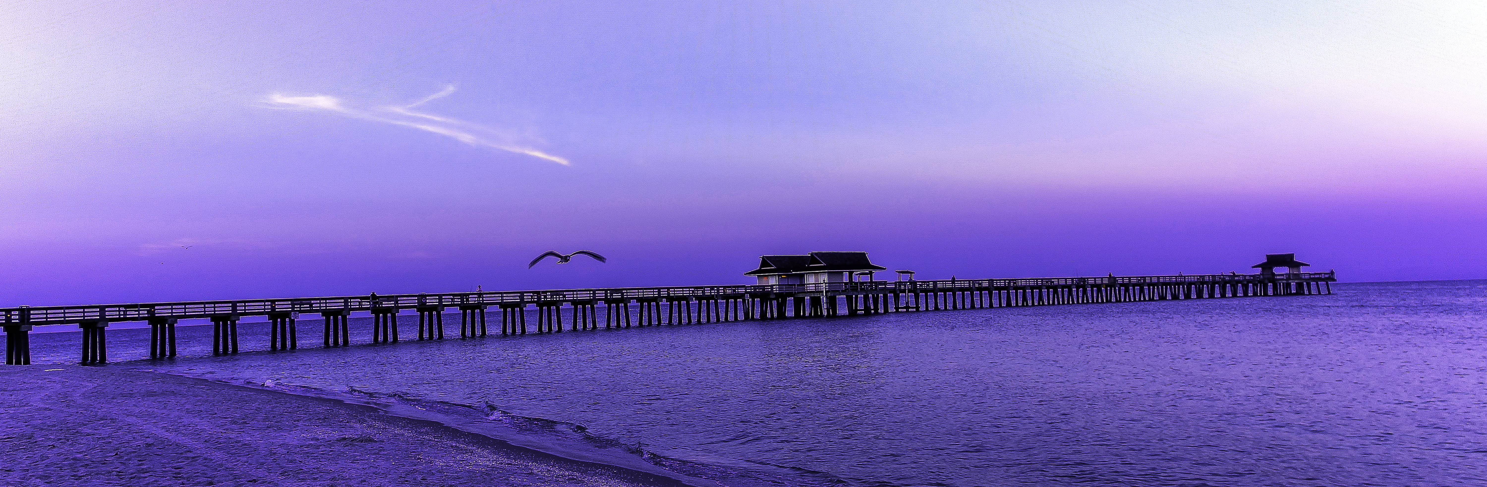 water, bridge, Mexico, animal, clouds, gulf, watch, natural, ocean, love, outdoor, bird, beach, sunrise, pier, house, 5K, nature, Awake, sky, animals, HD Wallpaper