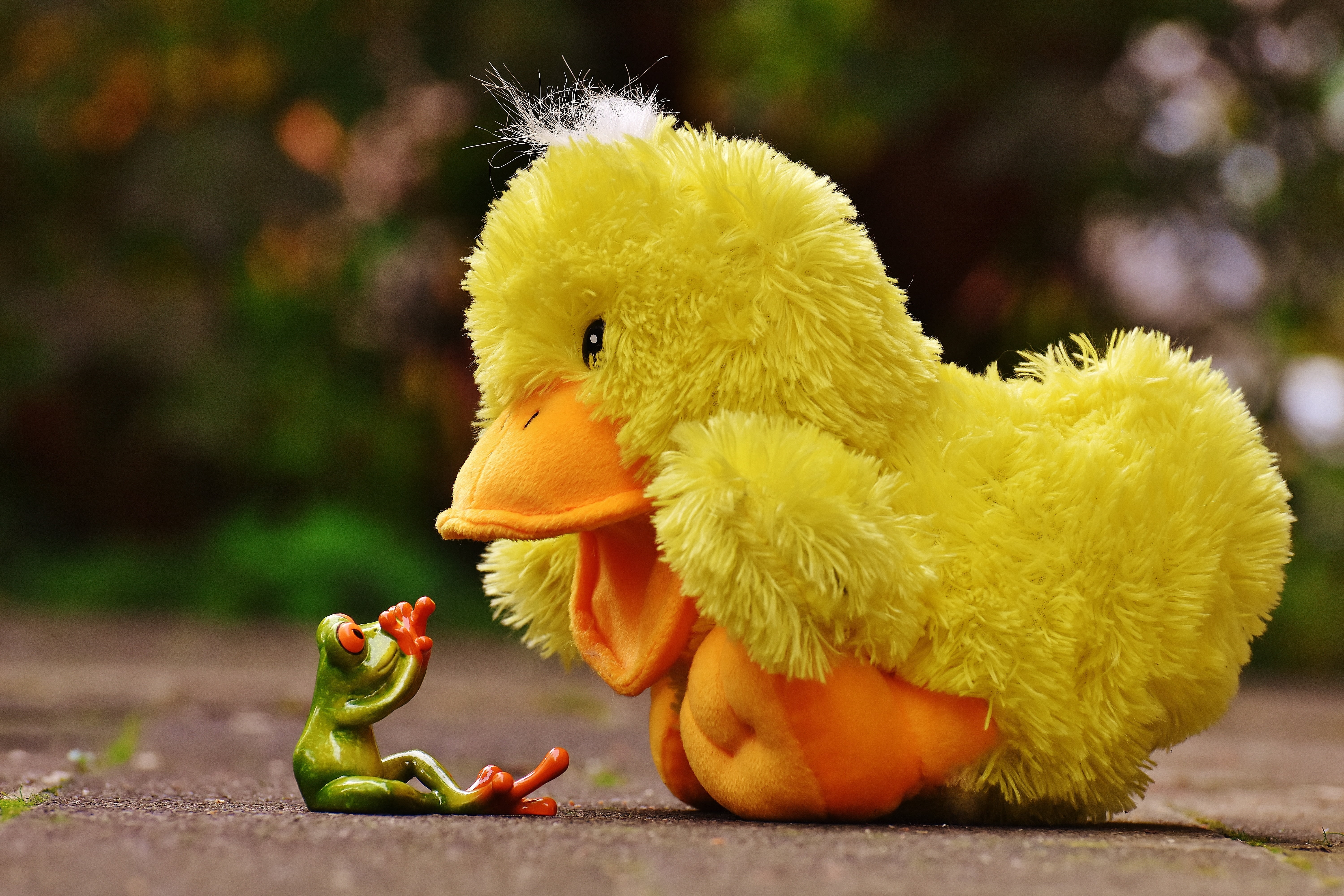 day, selective, frogs, duck, bird, photography, young animal, soft toy, yellow, focus, funny, toy, eyed, front, red, animal representation, risk, chicken - bird, HD Wallpaper