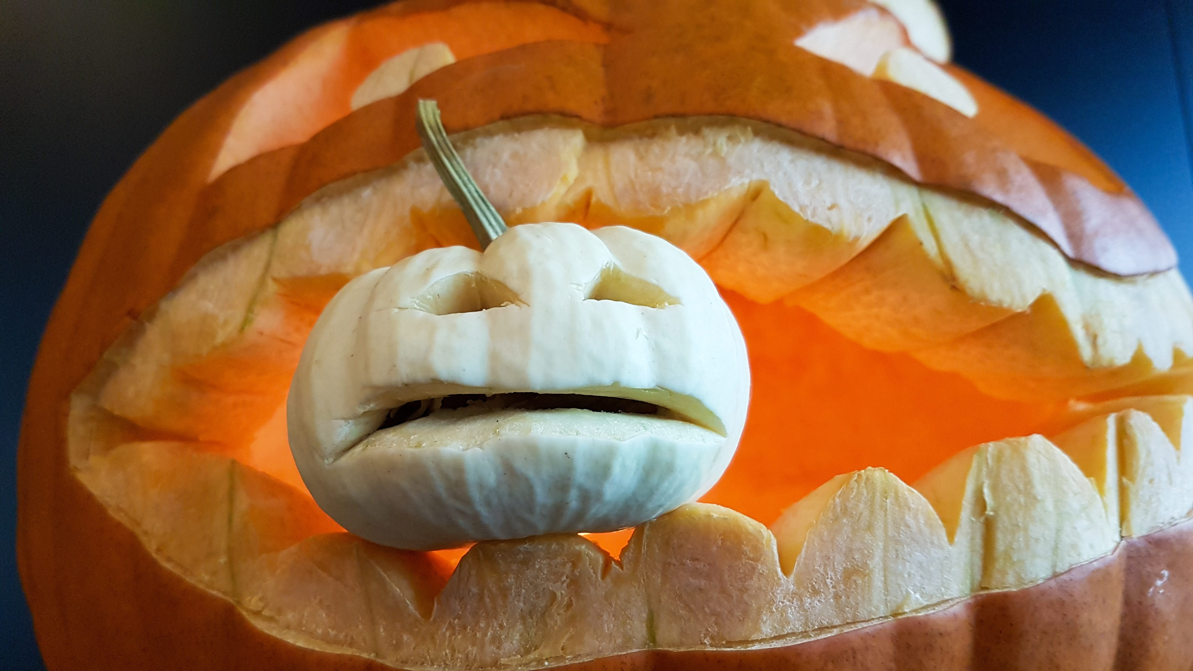 halloween invitation, anxious, creativity, close-up, eating, pumpkin small, pumpkin mouth, indoors, celebrate halloween, vegetable, jack, focus on foreground, HD Wallpaper