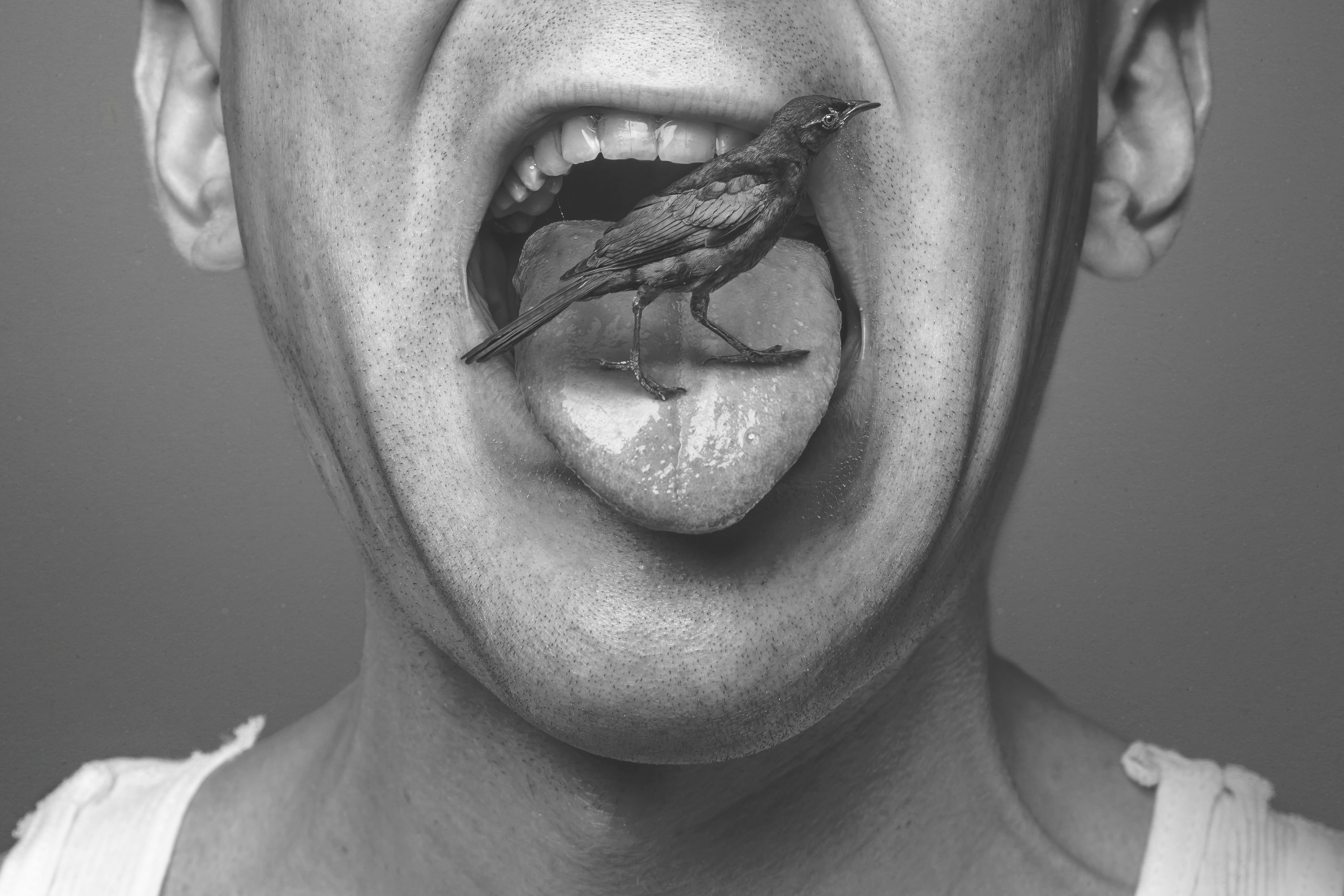 human lips, human nose, silly, cute, playful, face, tank, teeth, midsection, one man only, wearing, headshot, facial, human face, male, bizarre, adult, HD Wallpaper