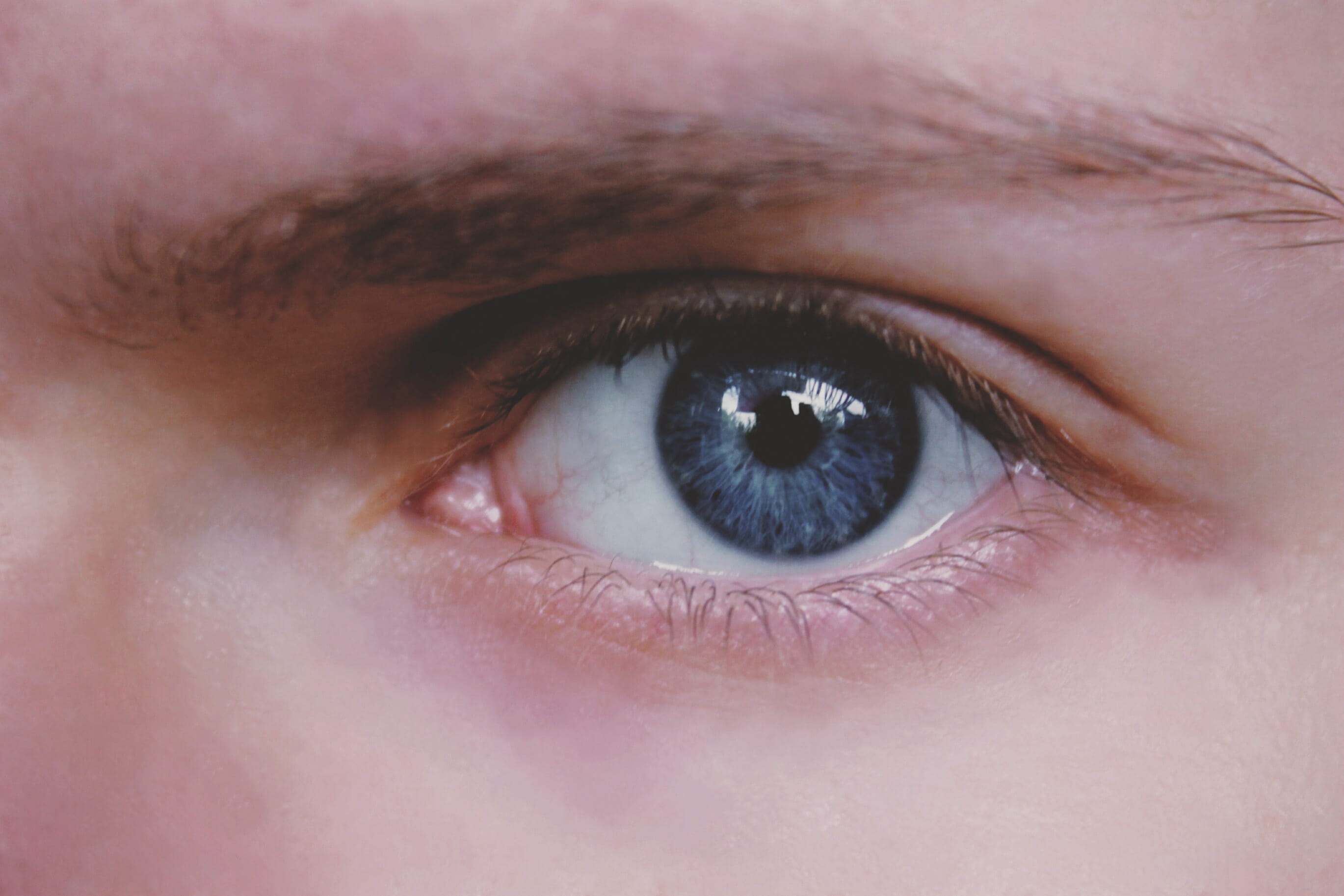 human Face, human body part, one Person, macro, 2K, extreme close-up, human, adult, eyeball, women, blue eyes, portrait, men, Closeup, eyesight, eye, body part, HD Wallpaper