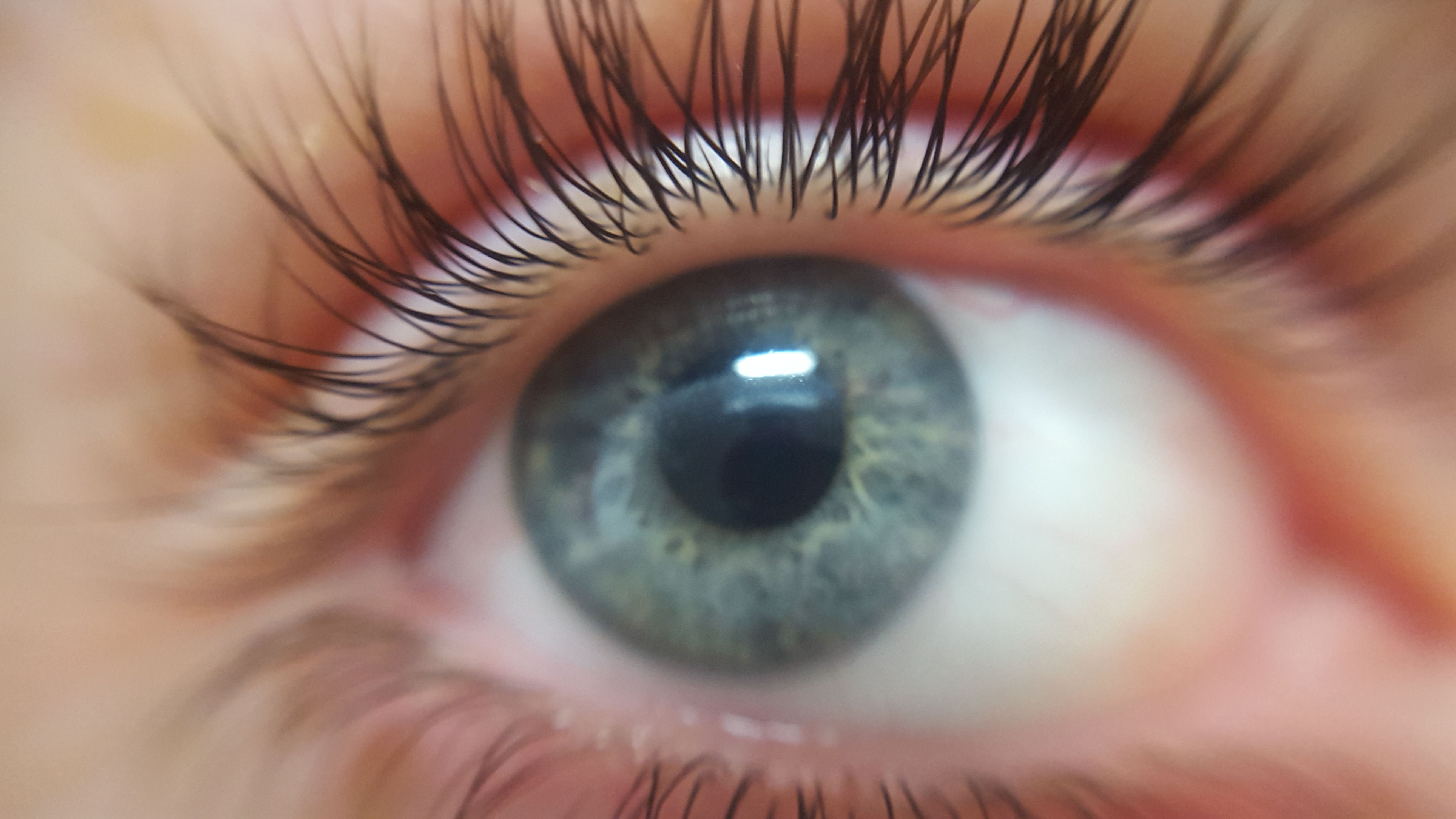 front view, macro, adult, blue-eyed, lashes, real people, sensory perception, long, body part, female, bright, cosmetic, eyelashes, one person, close-up, HD Wallpaper