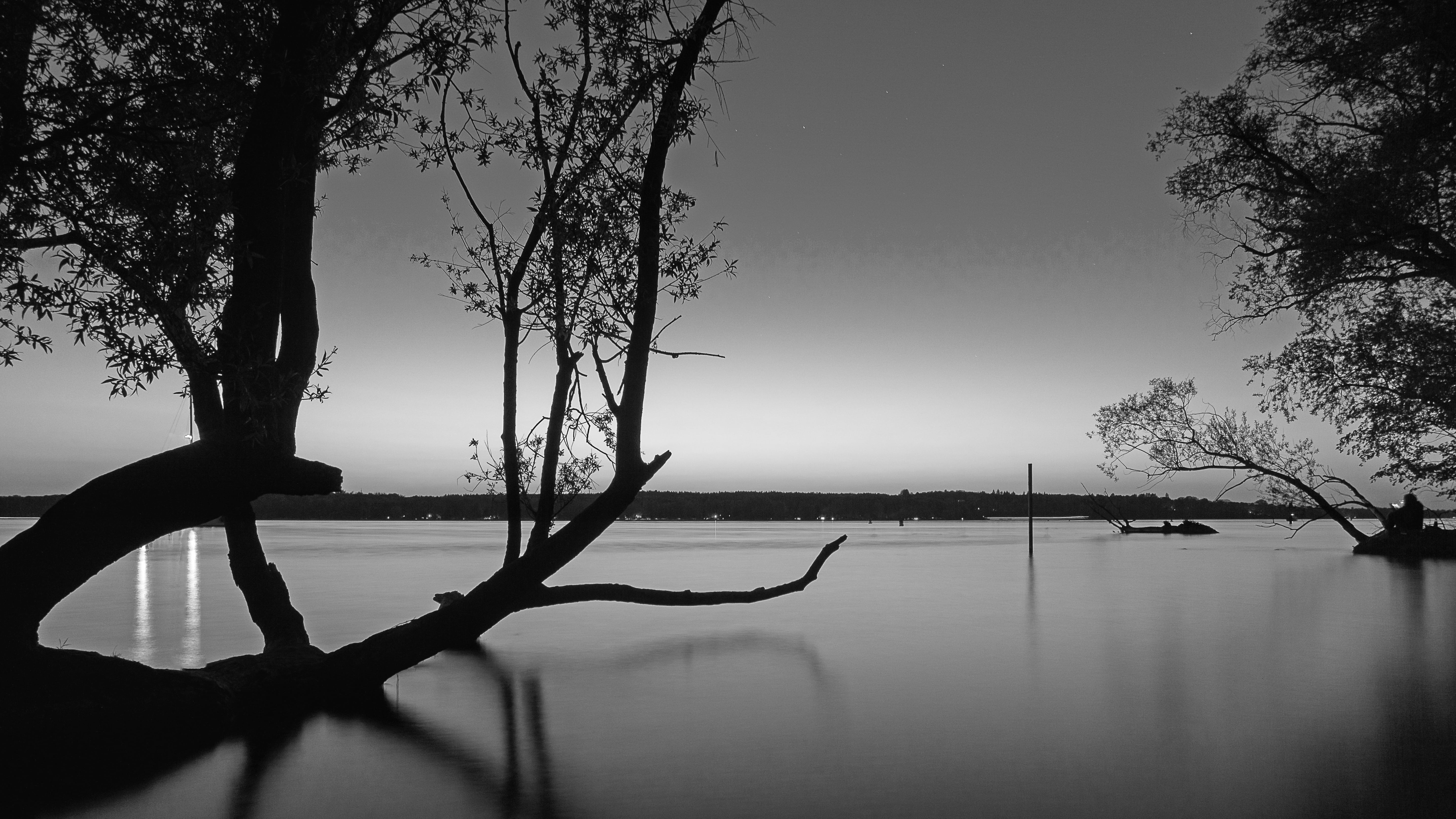 surreal, photo, 5K, atmosphere, branch, silhouette, reflection, day, boat, water, tree trunk, no people, tranquil scene, sky, long exposure, old tree, HD Wallpaper