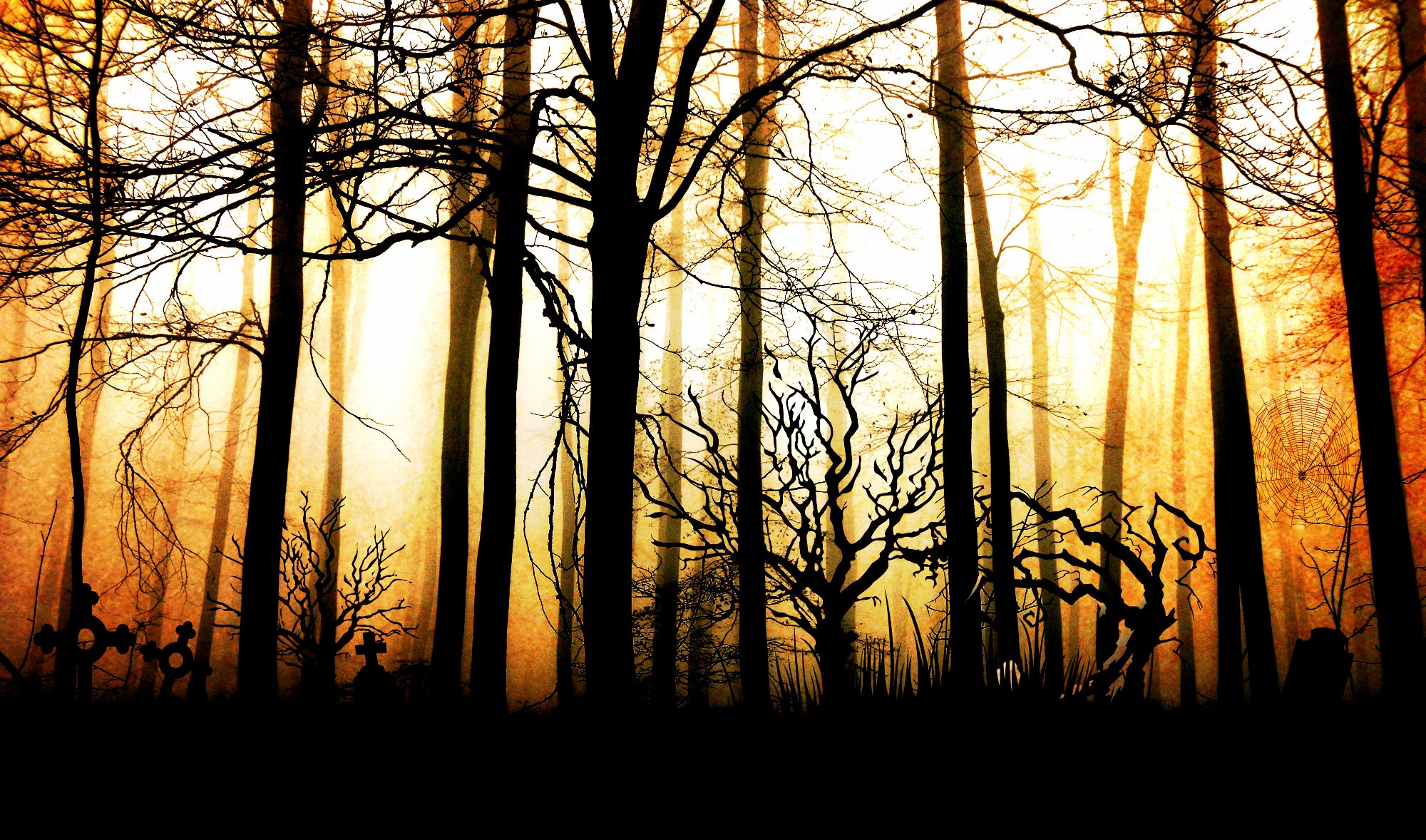 silhouette, autumn, sunlight, composing, tree, grave stones, 1080P, mood, shadow, abendstimmung, sun, plant, mystical, no people, beauty in nature, weird, HD Wallpaper