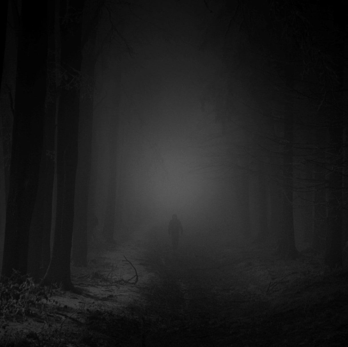 land, one person, nature, horror, woodland, ghost, plant, night, tree trunk, dark, fear, solitude, spooky, tranquility, depression - sadness, trees, fog, HD Wallpaper