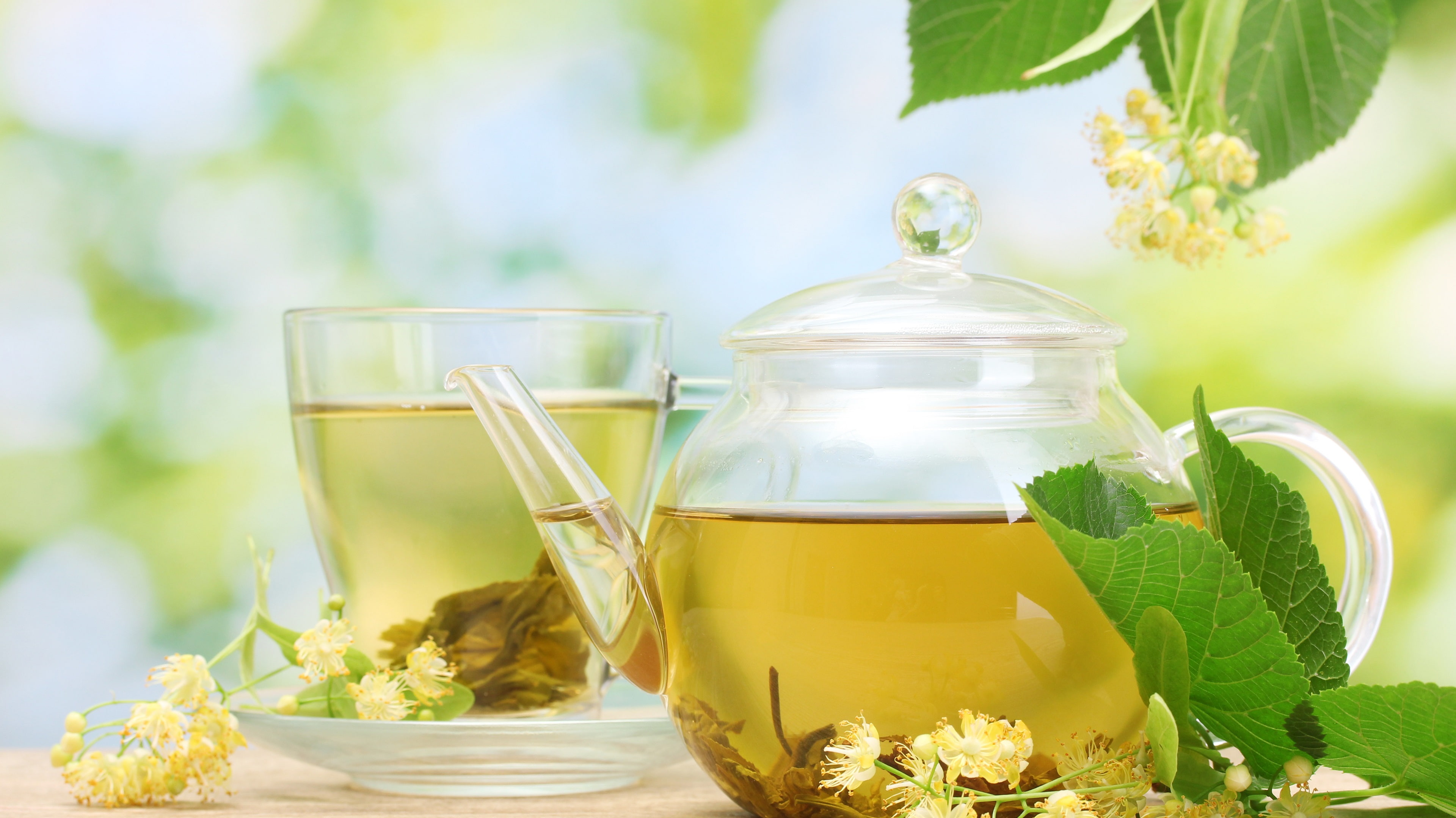 Drink, Cup, Saucer, 4K, Teapot, Jasmine, Flowers, Tea, HD Wallpaper