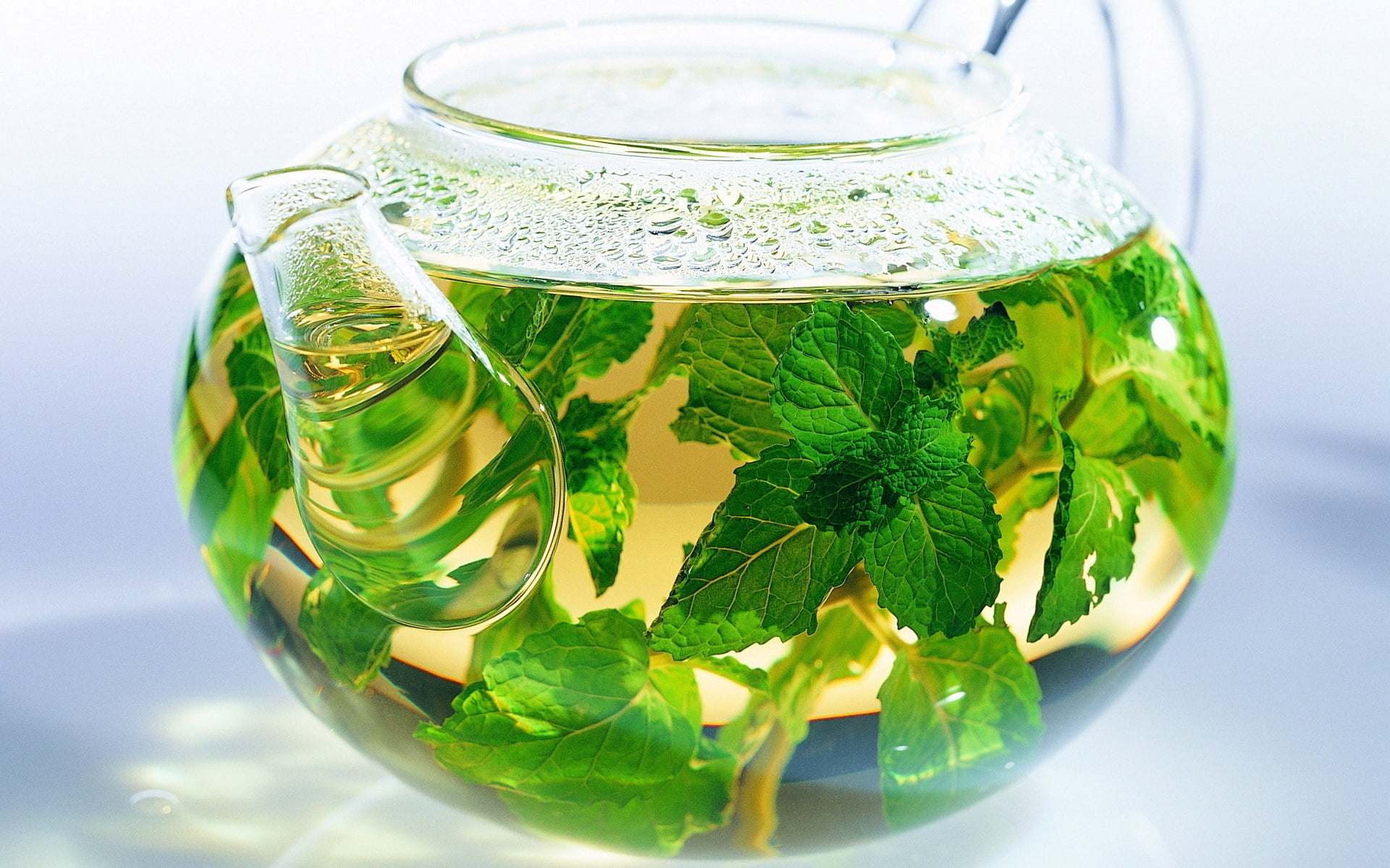 yellow, hot drink, indoors, tea cup, no people, liquid, glass - Material, clear, summer, glass, backgrounds, drink, green Color, tea, leaves, lemon, plant part, HD Wallpaper