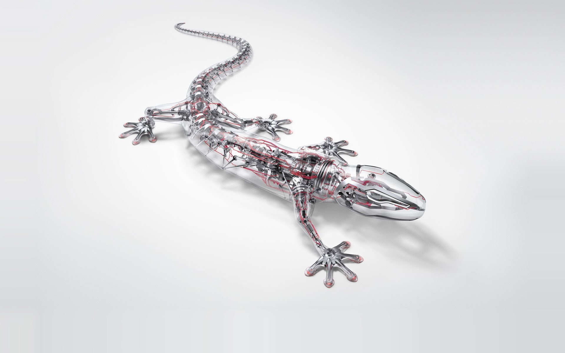 1080P, lizards, digital art, CGI, transparency, electricity, animals, technology, white background, HD Wallpaper